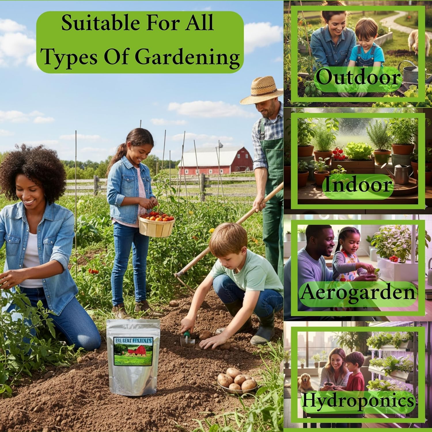 B&KM Farms Regional Garden Starter Kit – 37 Heirloom Varieties, 36,000+ Seeds – Non-GMO Vegetable & Herb Seeds for Deep South & Warm Coastal Climates – Ideal for Beginners & Experts (USDA Zone 8)