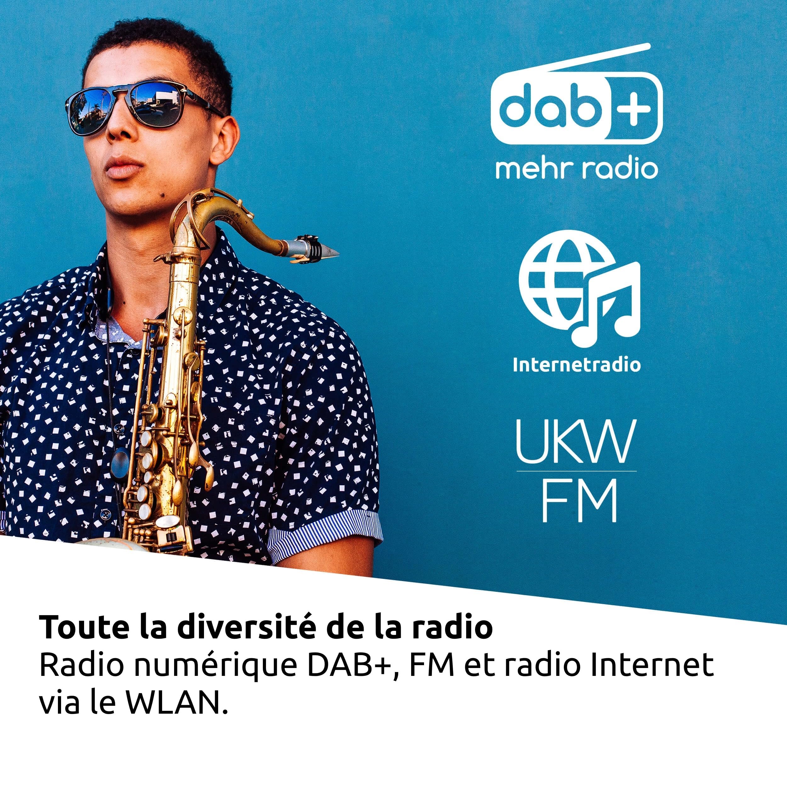TechniSat DIGITRADIO 371 IR - Radio Internet avec charge sans fil (DAB+, FM, WLAN, réception Bluetooth, écran couleur, USB, AUXin, réveil, 10 W, commande par application/télécommande)