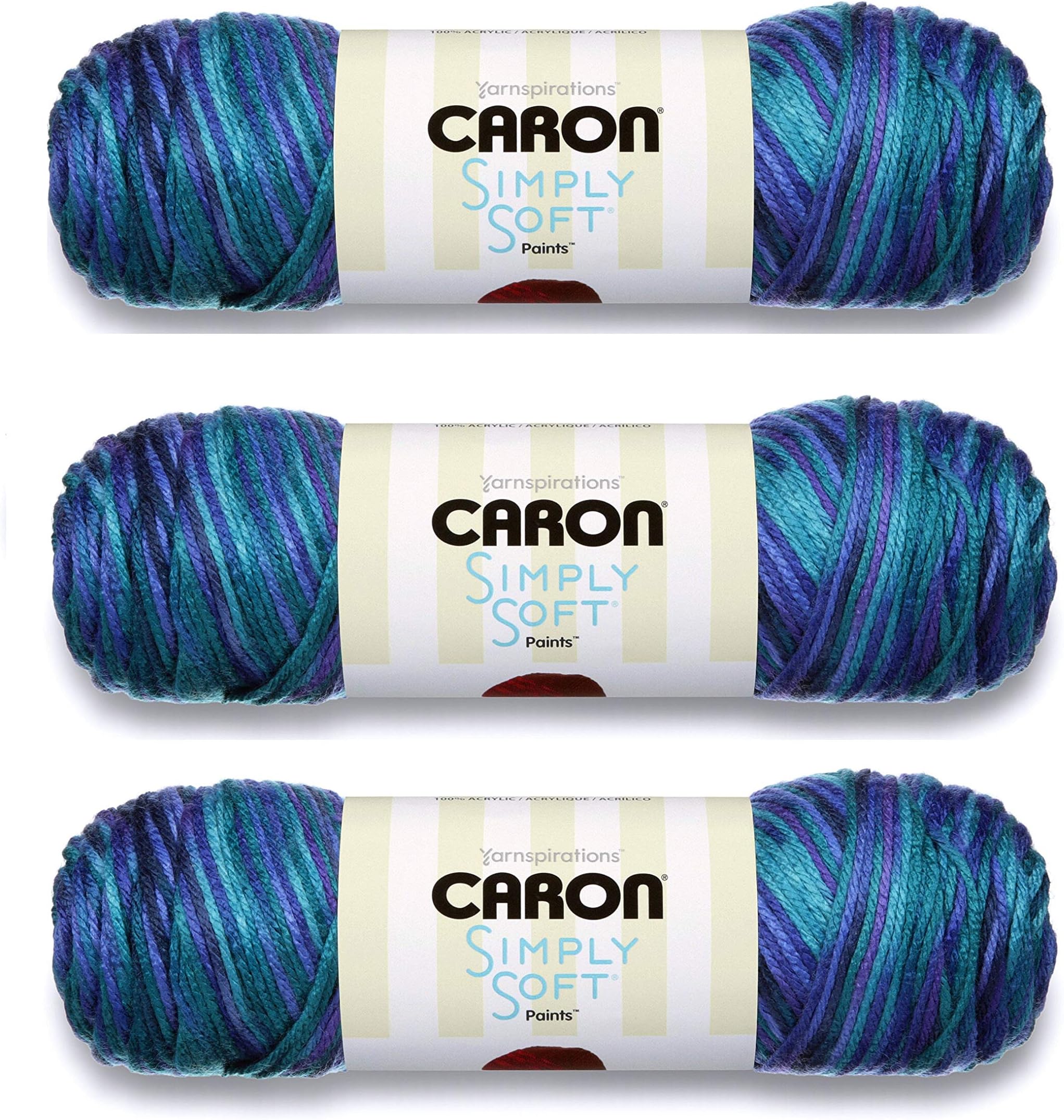 C9700P-6 Simply Soft Paints Yarn - Oceana