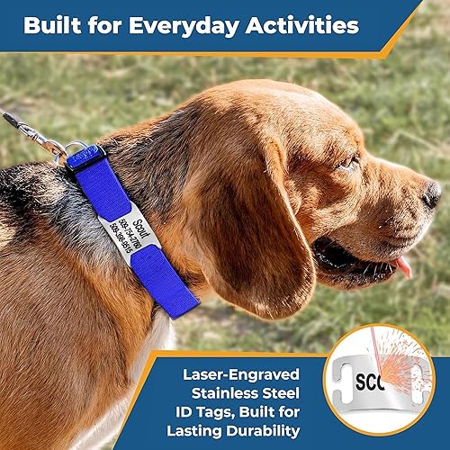 Miniatura 4 de GoTags - Collar con placa de identificación personalizable, reflectante y ajustable para perro, placa de identificación de acero inoxidable grabada,