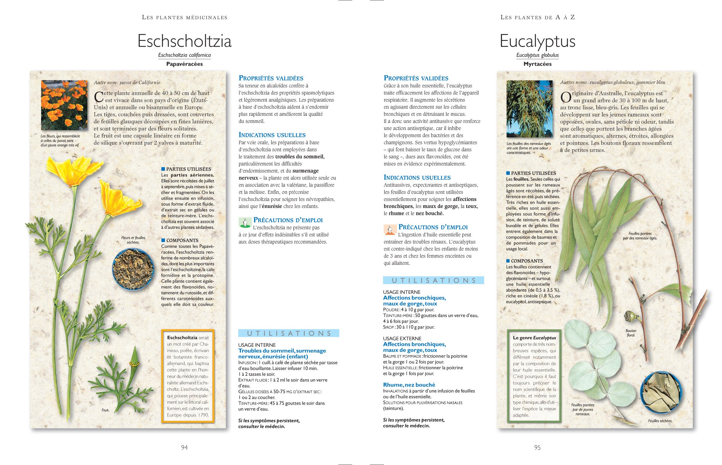 Secrets et vertus des plantes médicinales