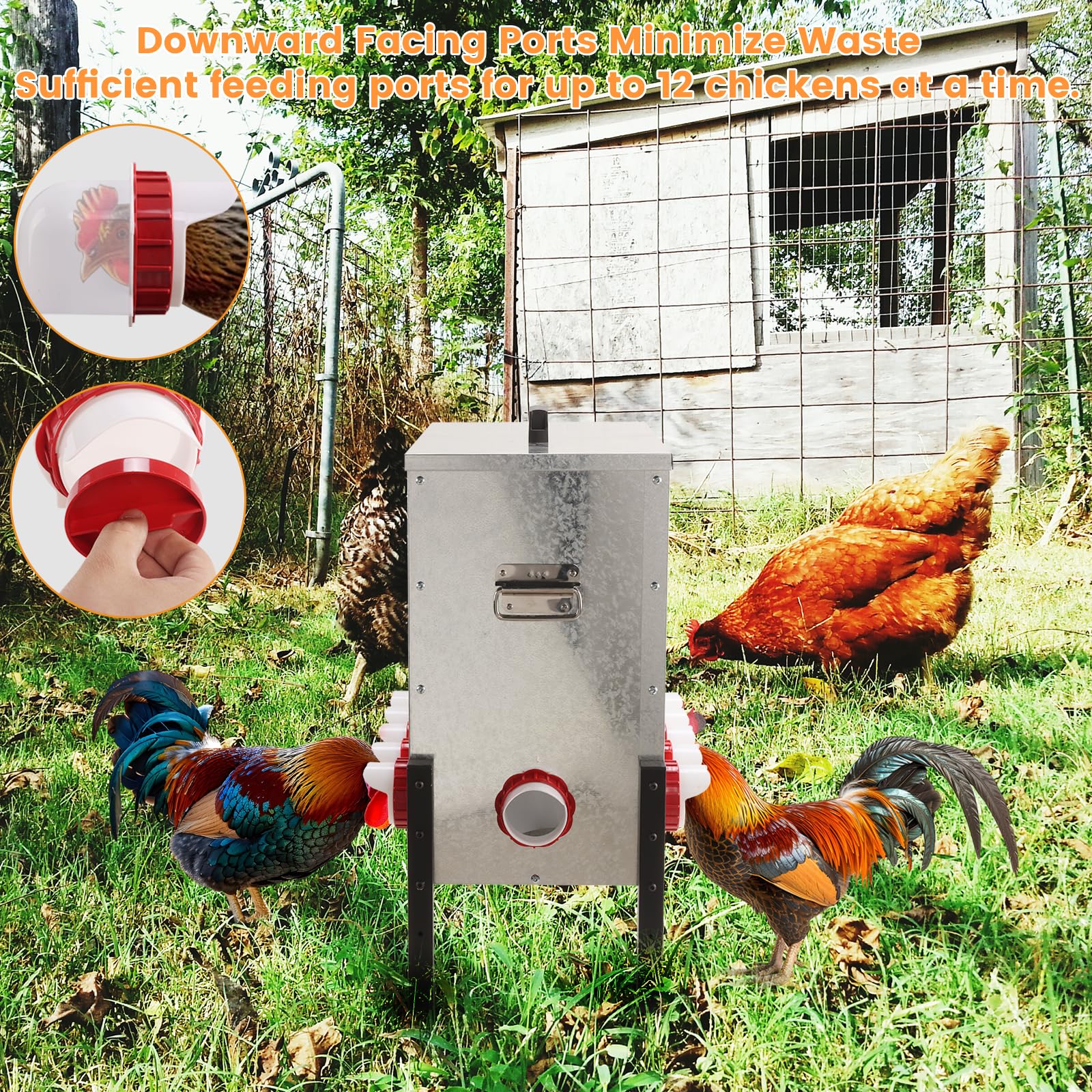 Comedero automático para gallinas, de Metal, de Gran Capacidad, con 12 Orificios y Patas Ajustables, para gallinas y Aves de Corral.