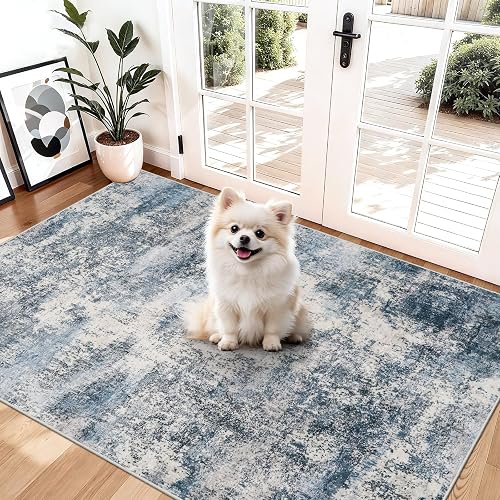 HILORUUG Washable Abstract 3x4 Hallway Rug Blue