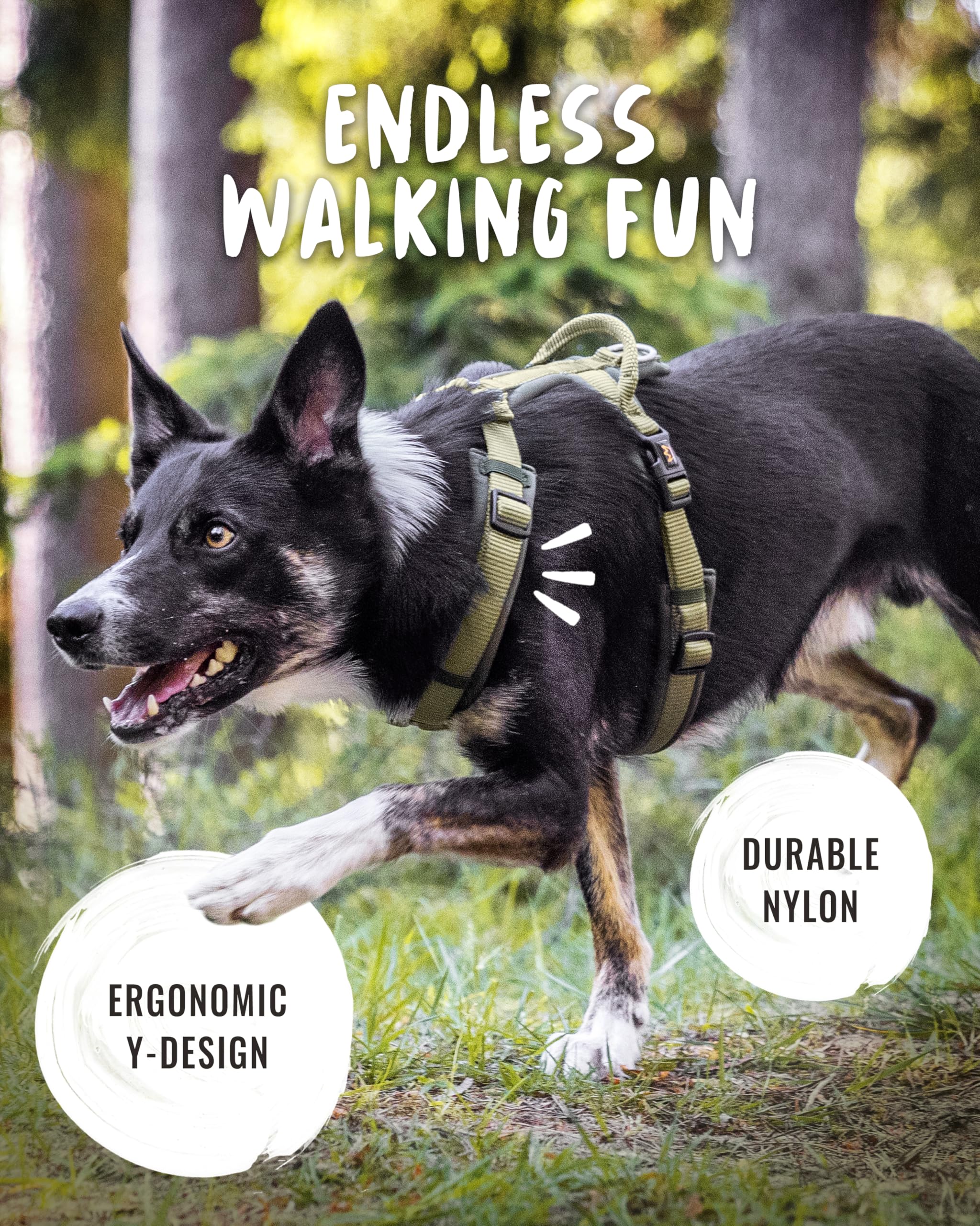 Rudelkönig Harnais Chien Bella - Harnais Anti Traction pour Chien avec poignée - Arnet réglable pour Grands Chiens