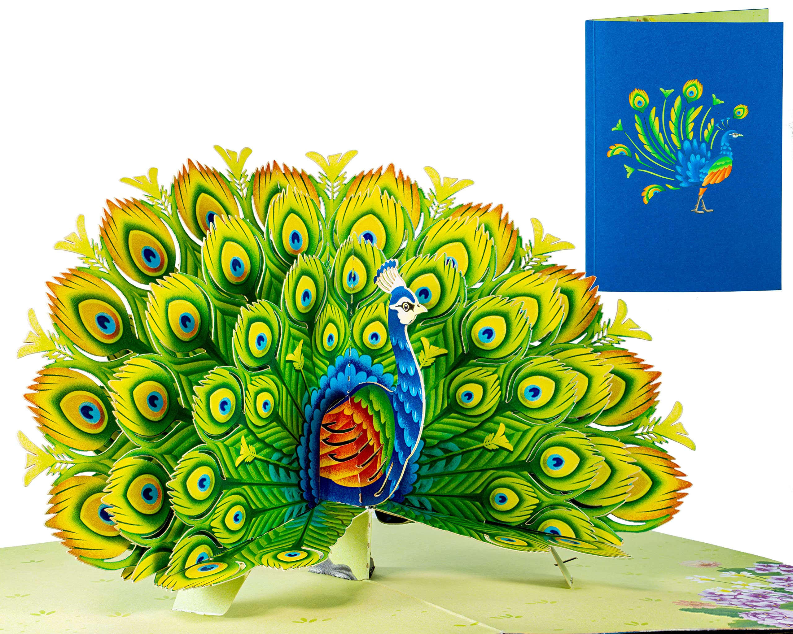 WOWPAPERART Tarjeta de felicitación desplegable 3D para todas las ocasiones, amor, cumpleaños, Navidad, mensaje personalizado, sobre grueso, 5 x 7 pulgadas