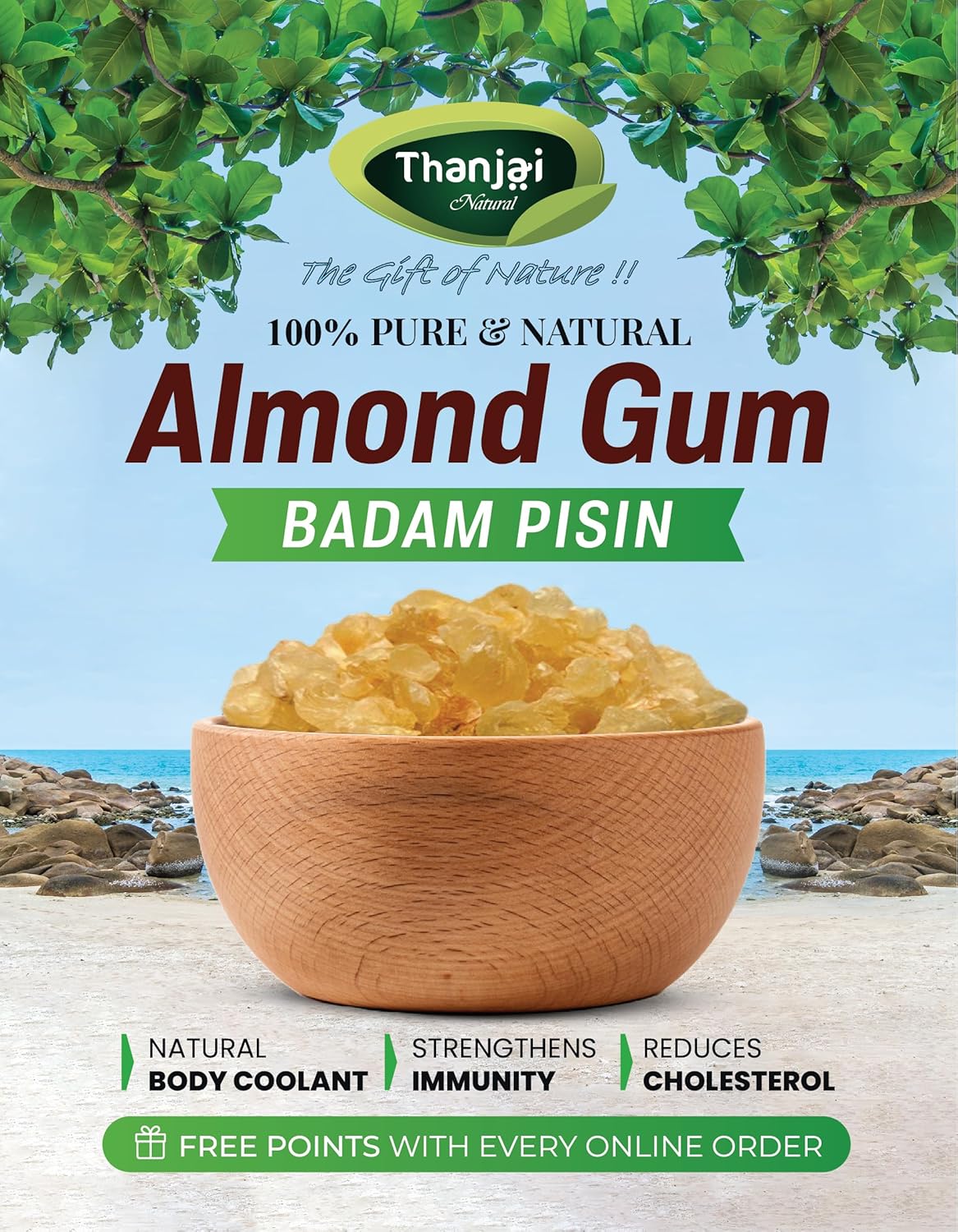 GOND KATIRA 500g Jar | Chahar GOND | Tragacanth Gum | Almond Gum | BADAM Pisin | COCHLOSPERMUM Gossypium