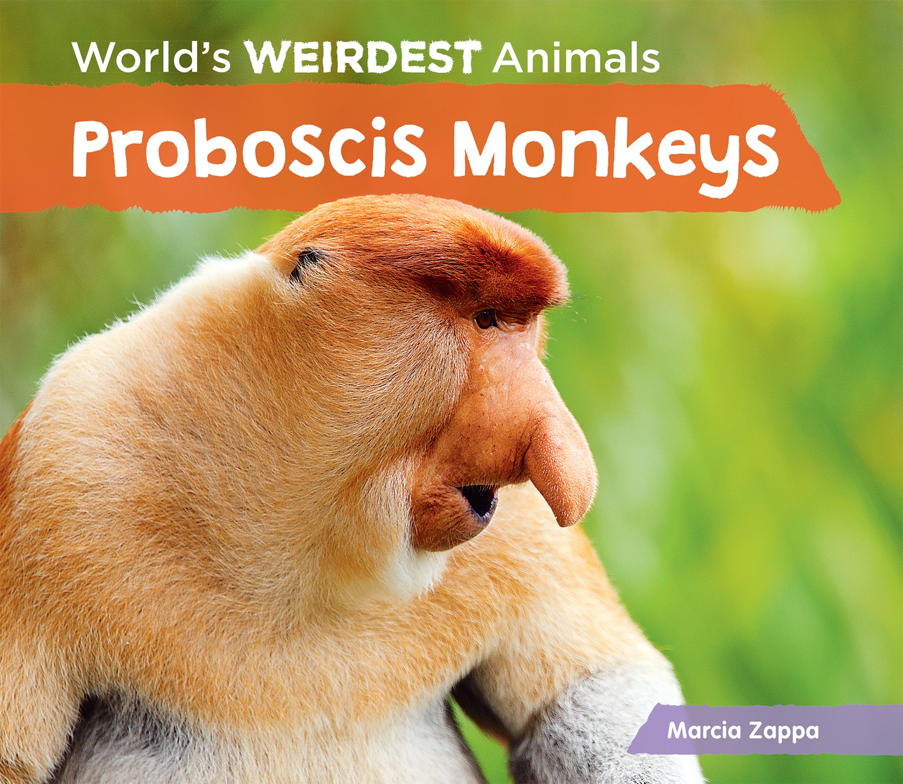 Amazon Proboscis Monkeys World S Weirdest Animals Zappa Marcia Biological Sciences