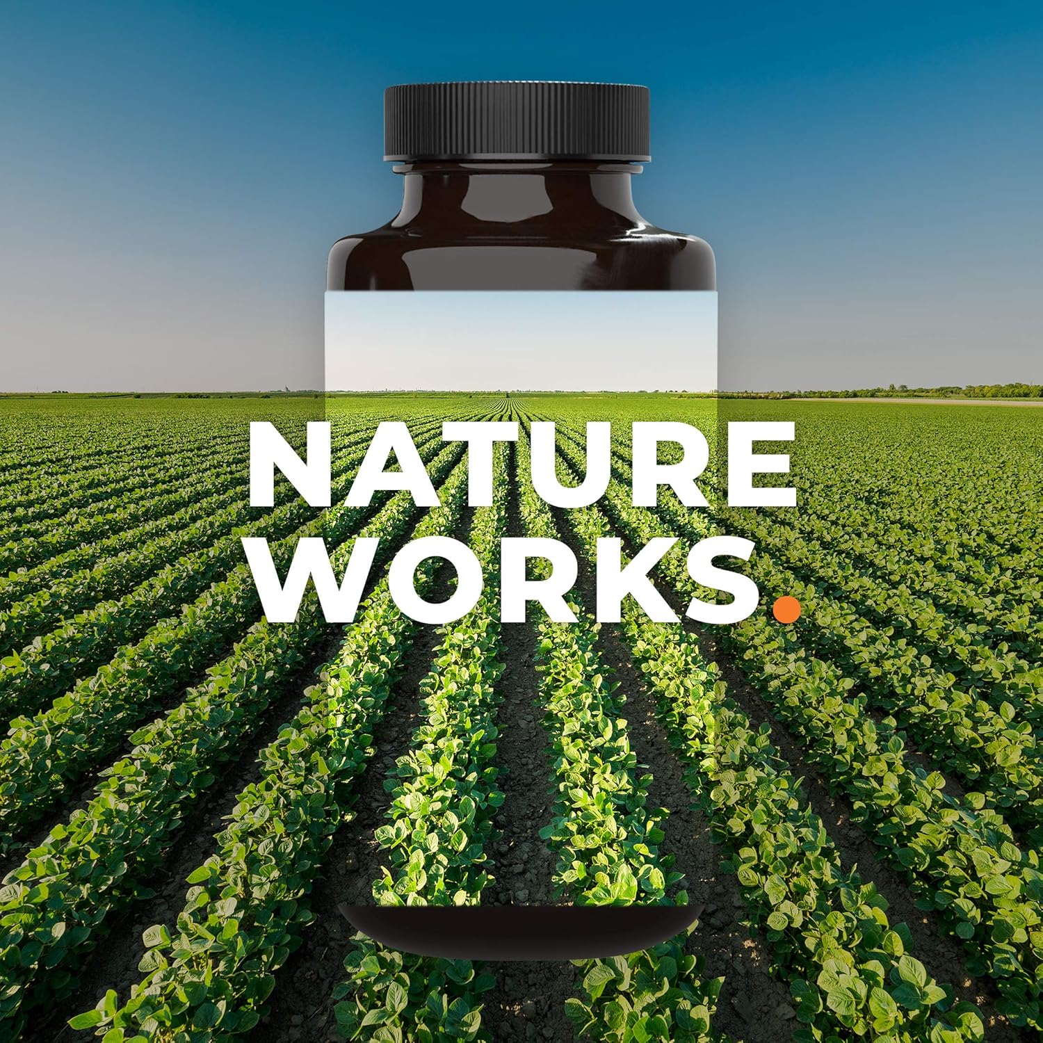 LifeSeasons - Healthy Aging - Anti Aging Supplement - Antioxidant Complex - Acai Berry, Astaxanthin, Resveratrol, R-Alpha Lipoic Acid and Pomegranate Extract - 90 Capsules : Health & Household