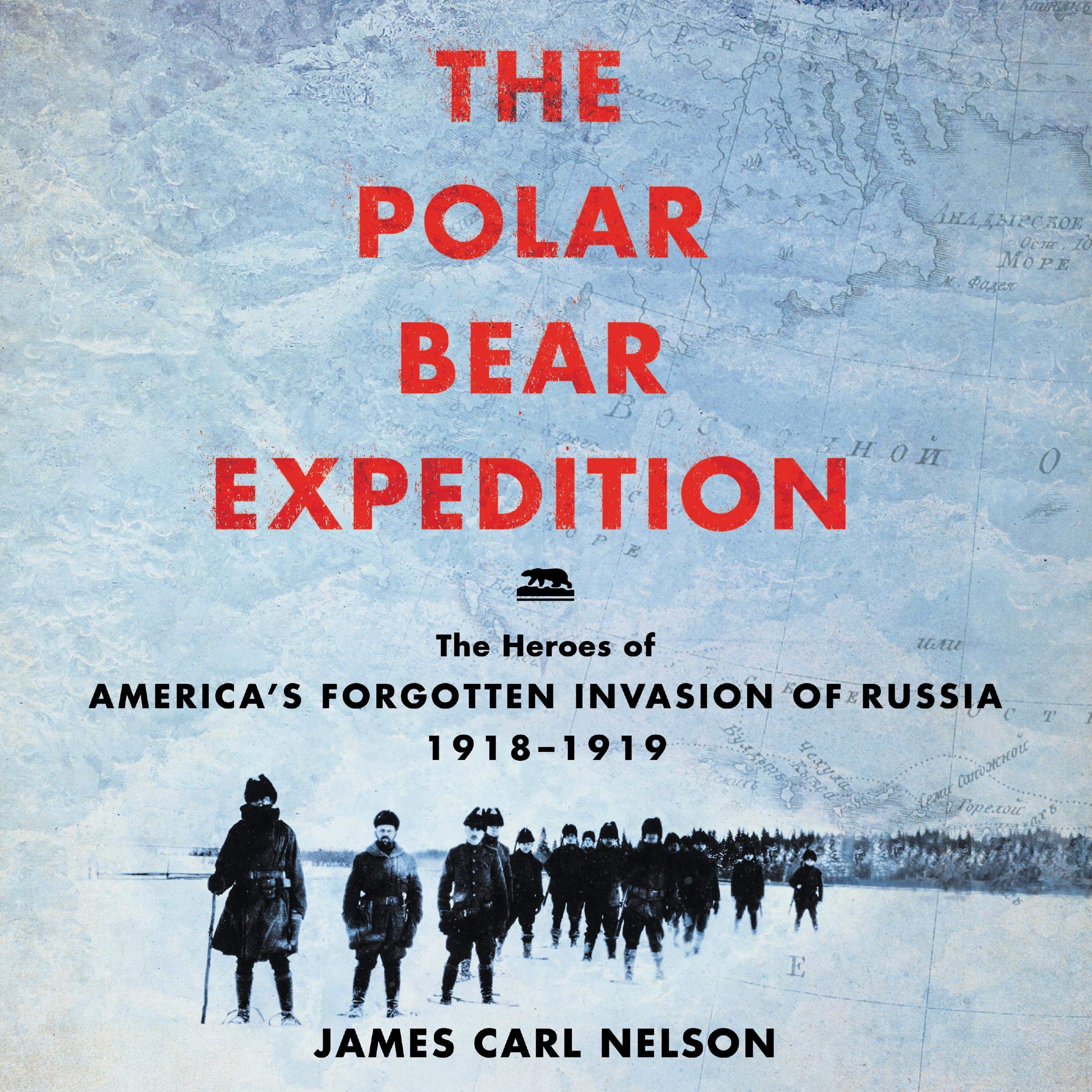 Cover art for The Polar Bear Expedition