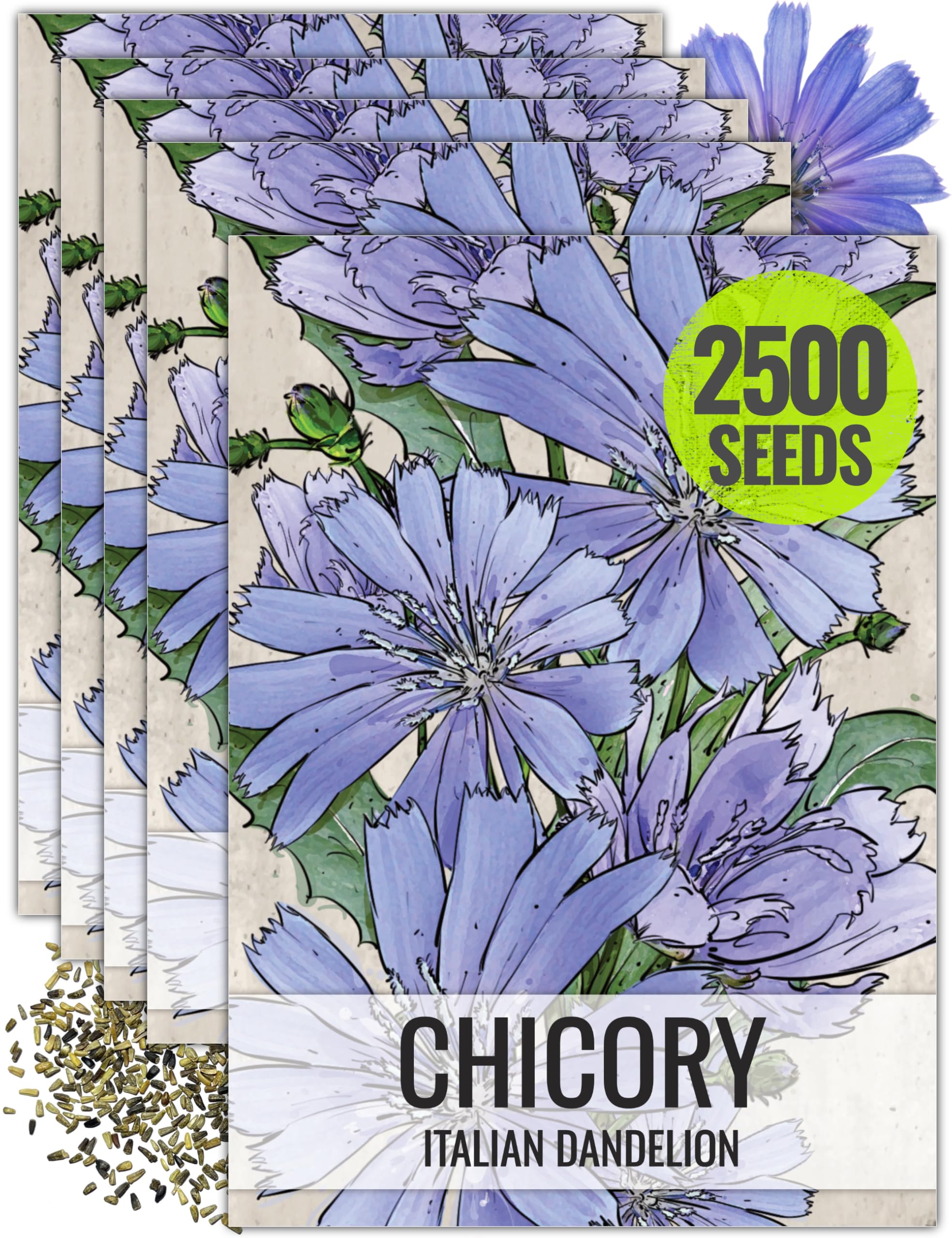 Seed Needs Chicory Seeds