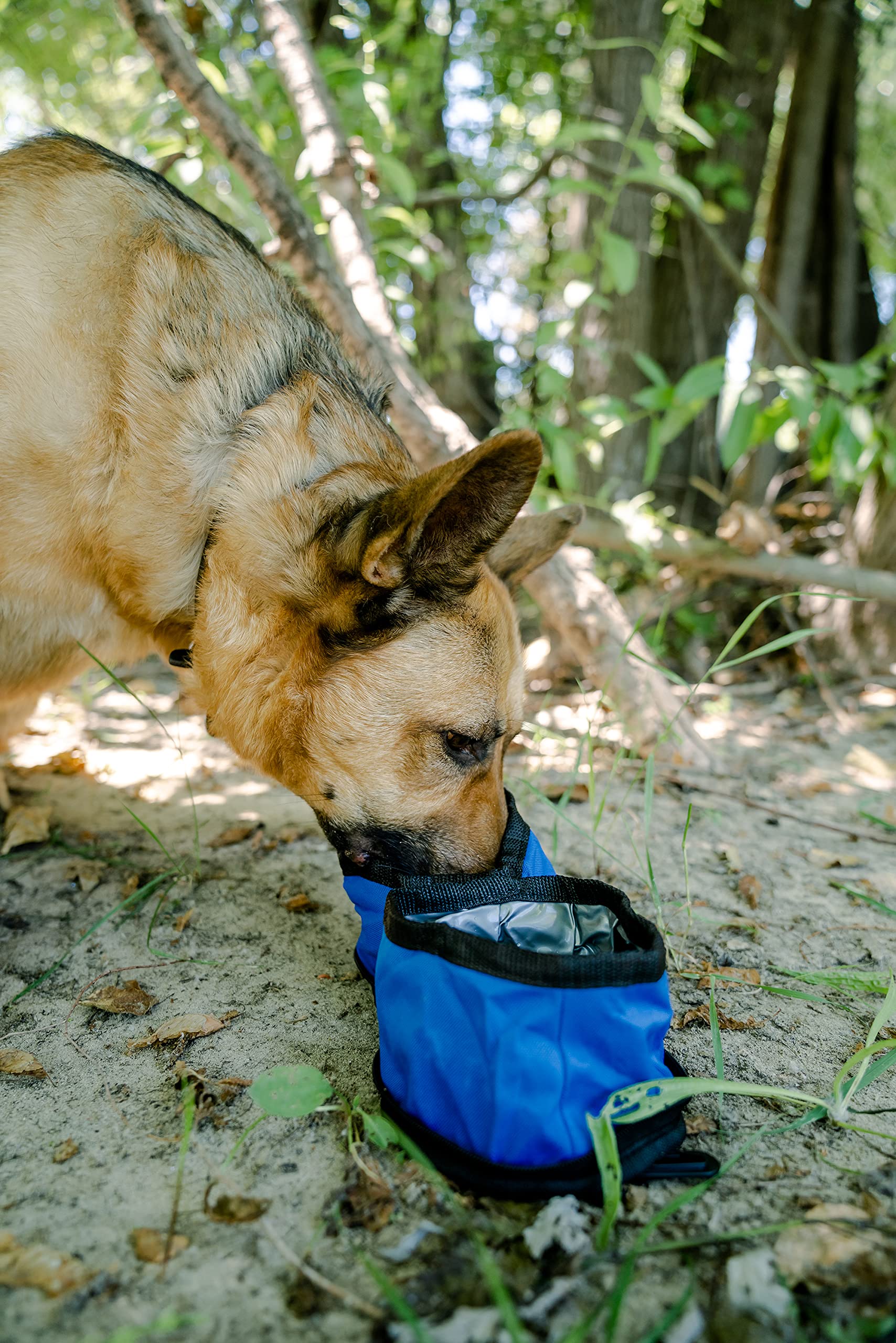 Stansport Gamelle pliable pour chien Bleu