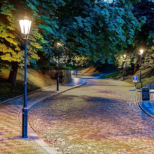 Miniatura 4 de Westinghouse 5250000 Bombilla LED de filamento de alto lumen de luz diurna ED23.5 de 14 vatios (equivalente a incandescente de 125 vatios), base