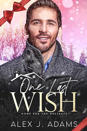 One Last Wish An MM Holiday Romance