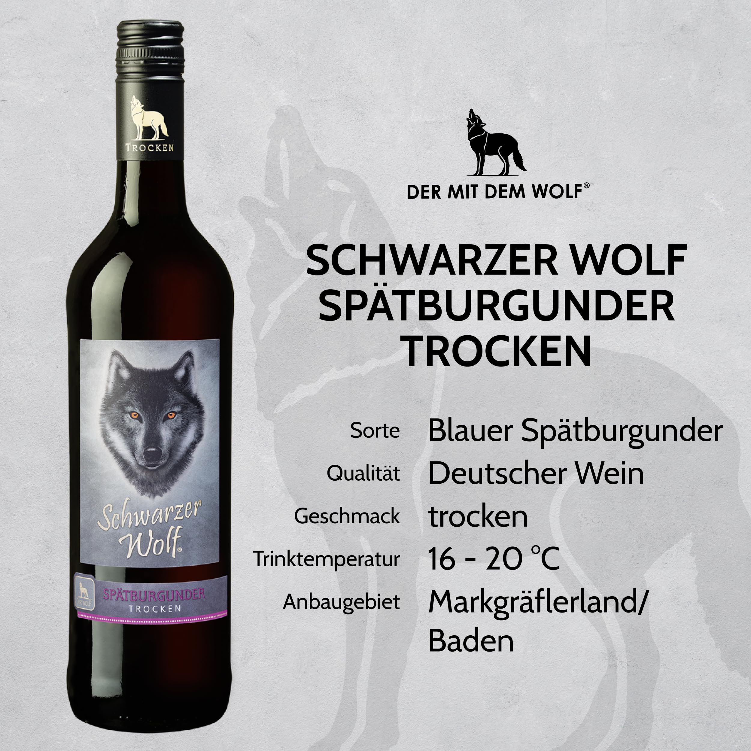 Wolfenweiler Spätburgunder trocken - Schwarzer Wolf rubinroter Rotwein trocken mit Holz- und Vanillearomen - Wein aus dem Markgräflerland Baden (6 x 0,75l)