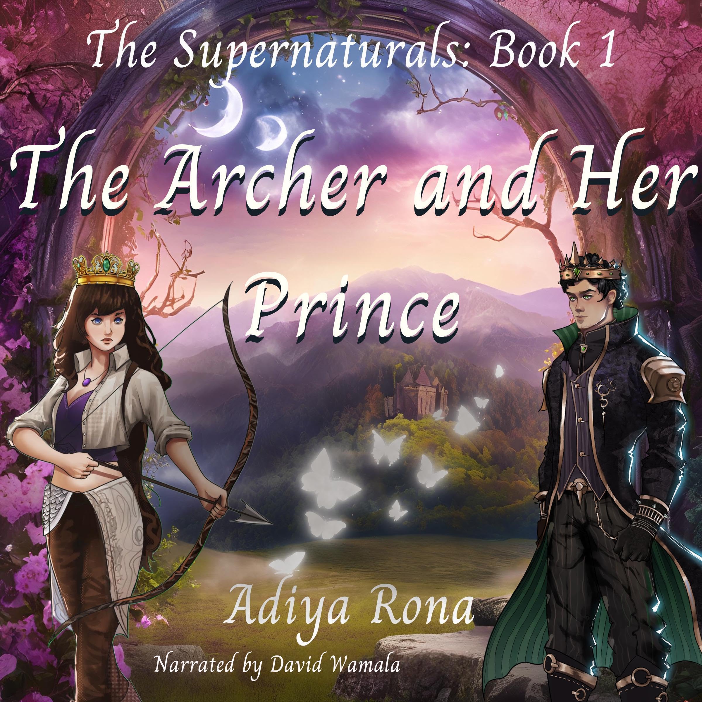 Cover art for The Archer and Her Prince
