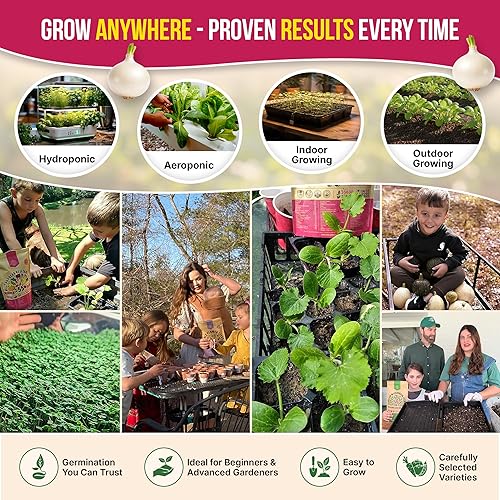 Miniatura 5 de Organo Republic Paquete variado de 8 semillas de cebolla reliquia, sin OGM, juegos para jardinería en interiores y exteriores. Más de 2200 semillas