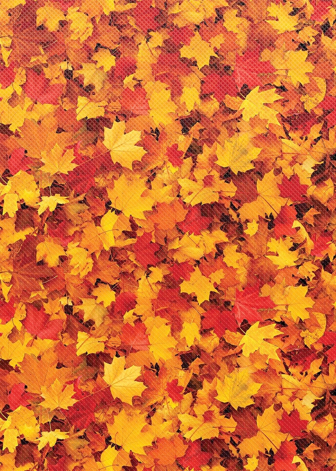 Teacher Created Resources Fall Leaves Better Than Paper® Bulletin Board Roll (TCR77497)