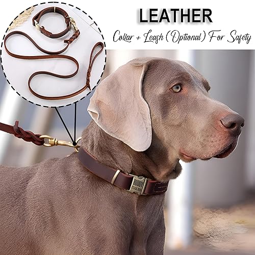 Miniatura 7 de Leather Collar Personalized for Pets Custom Dog Collar with Engravable Nameplate Breathable Collar with Durable Quick Release Buckle for Small