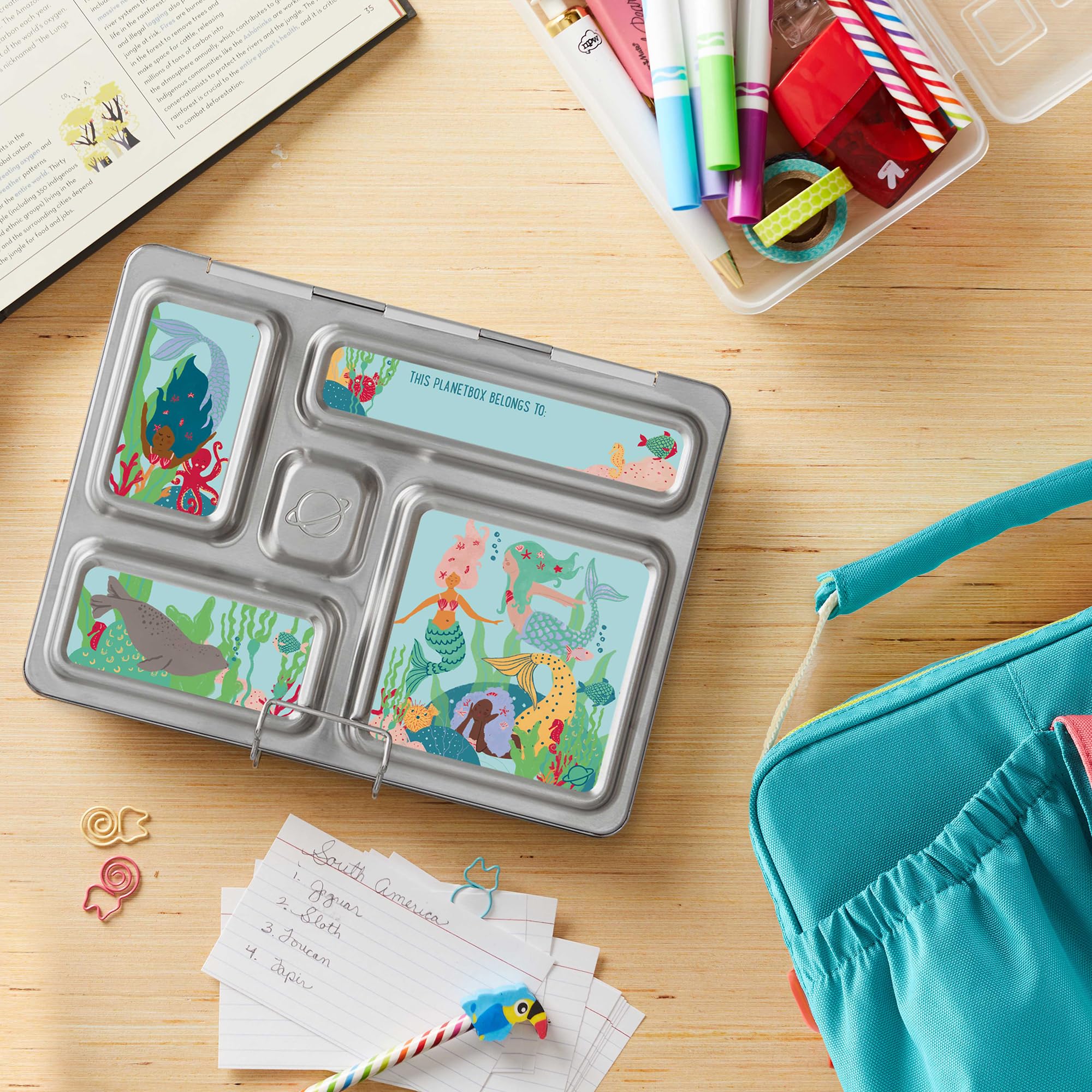 Amazon.com: PlanetBox Rover Stainless Steel Bento Box Style Lunch