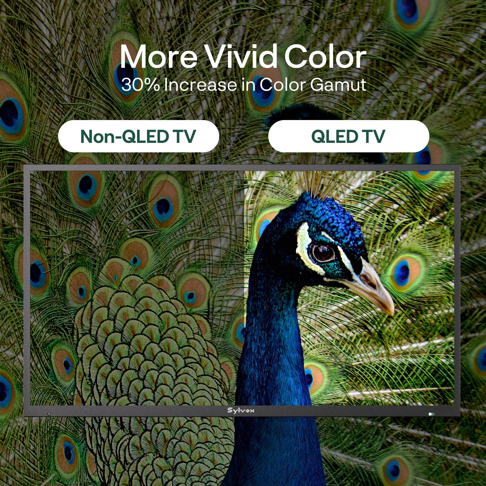 SYLVOX New 75” Outdoor Smart QLED TV, Superior Waterproof Performance, Upgraded Matte Finish for Enhanced Anti-Glare Effect, Full Metal, with Dolby Atoms, 2000nits, Full Sun Pool Pro QLED 2.0+ Series