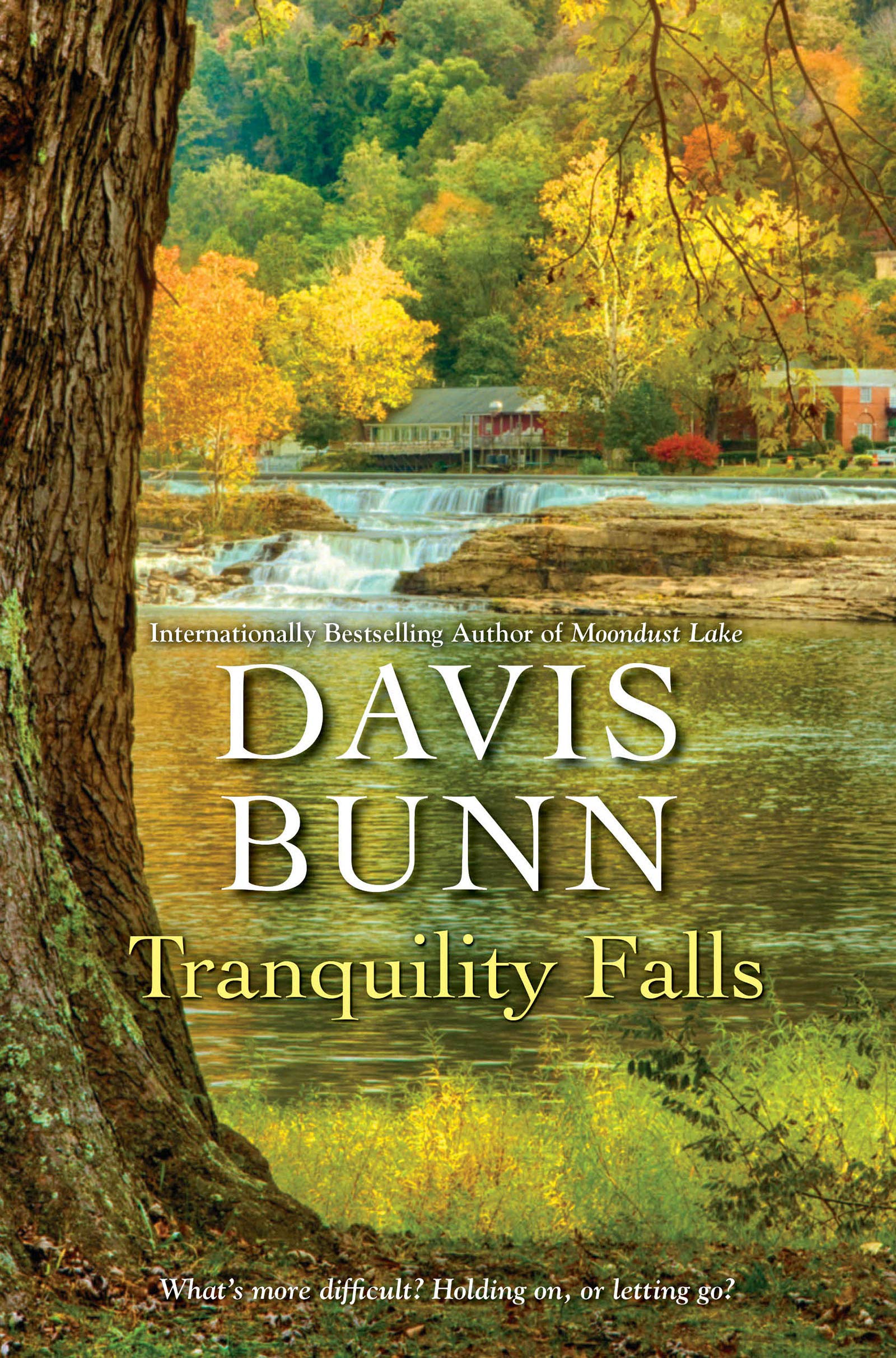Tranquility Falls (Miramar Bay Book 4)