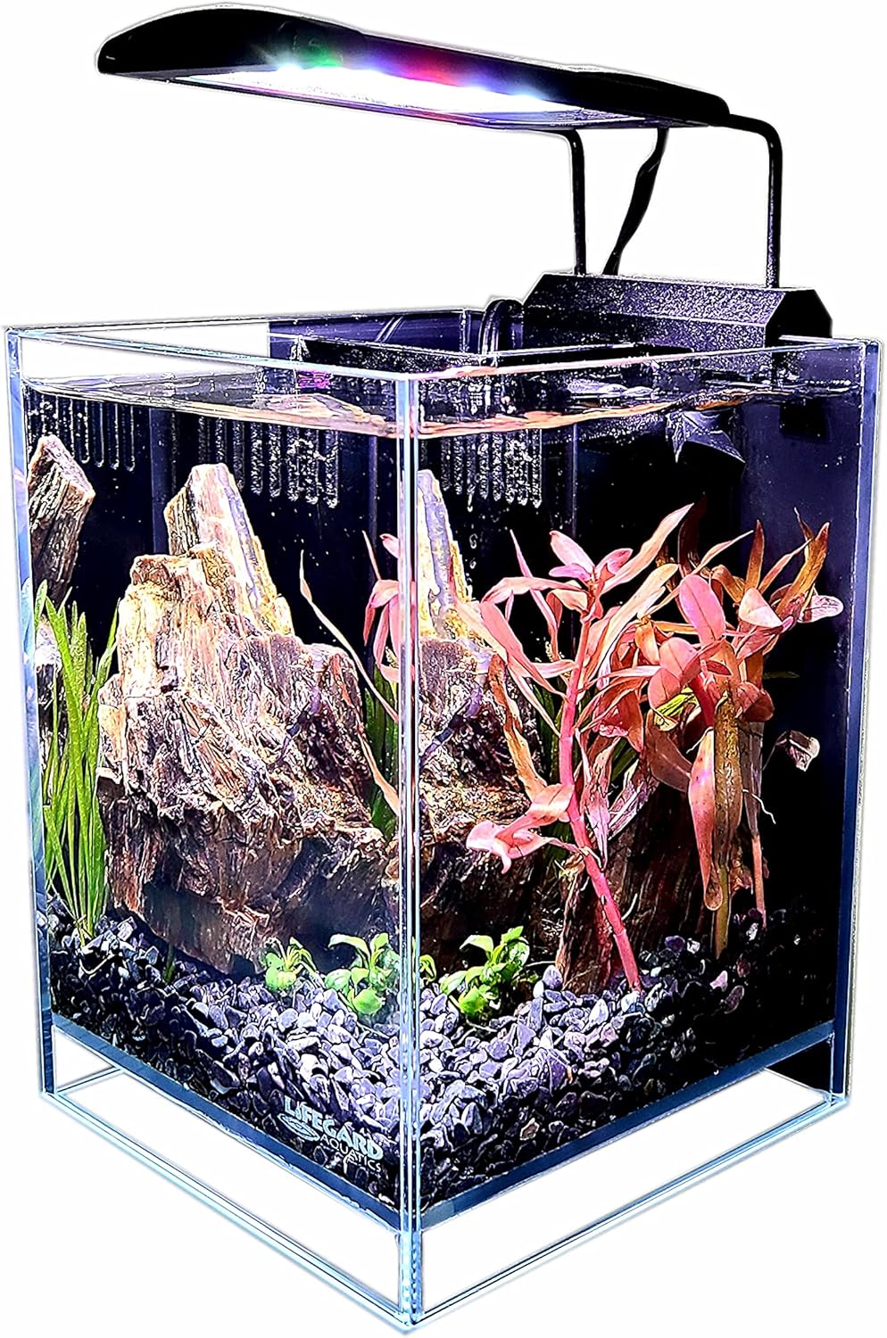 LIFEGARD Low Iron Ultra Clear Crystal Aquarium with Built in Filter – Rimless Glass, Beveled Edge, Elevated Style – Direct Jet Flow – 2.65 GPH