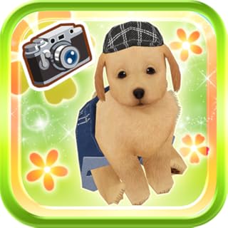 My Dog My Room 2 - Buy now