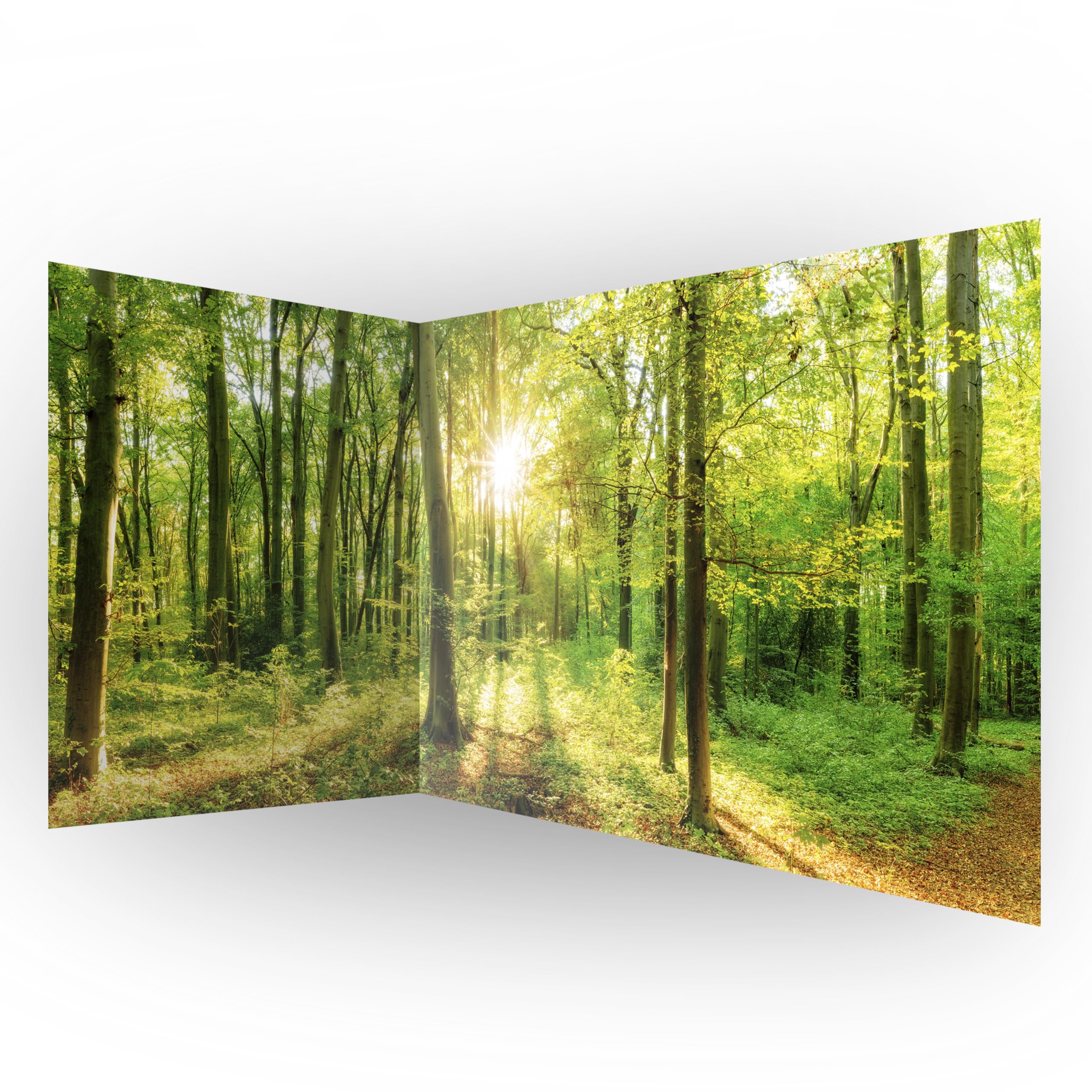 murando - Fototapete Vlies Wald, 550x250 cm, Schlafzimmer, Wohnzimmer | Full HD Druck, 3D-Effekt, lichtbeständige Farben, ideal fürs Wohn- oder Schlafzimmer, schnelle Montage, lichtbeständig, edel