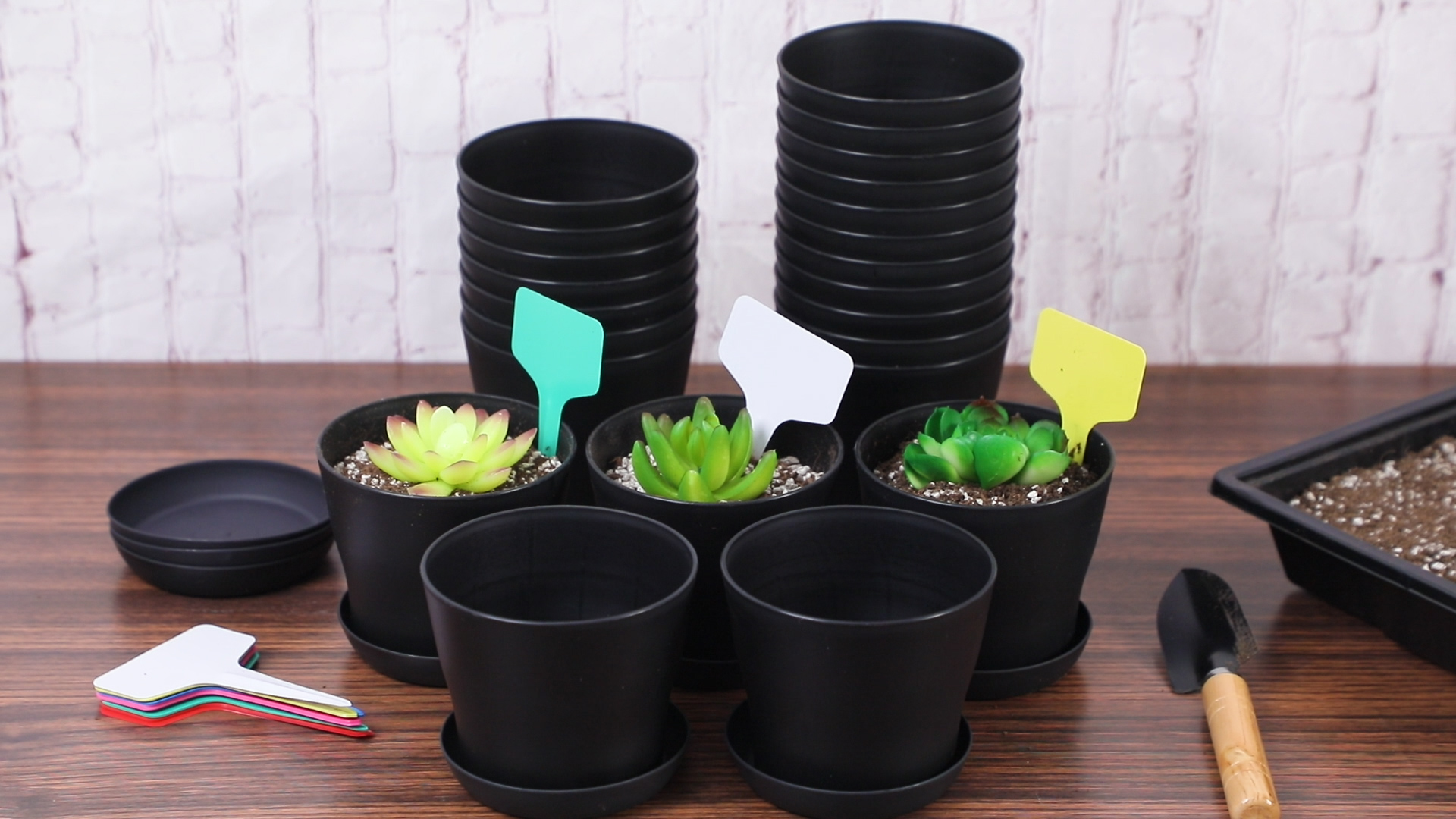Amazon.com: ADXCO 24 Pack 4 Inch Plastic Plant Pot with Saucers