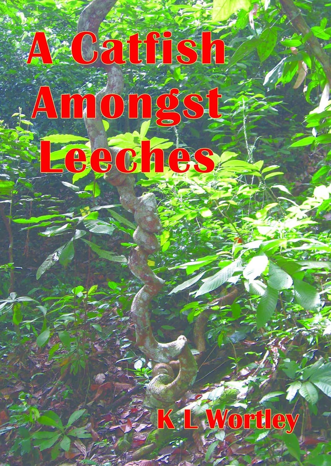 A Catfish Amongst Leeches Kindle edition by Wortley, K L . Literature