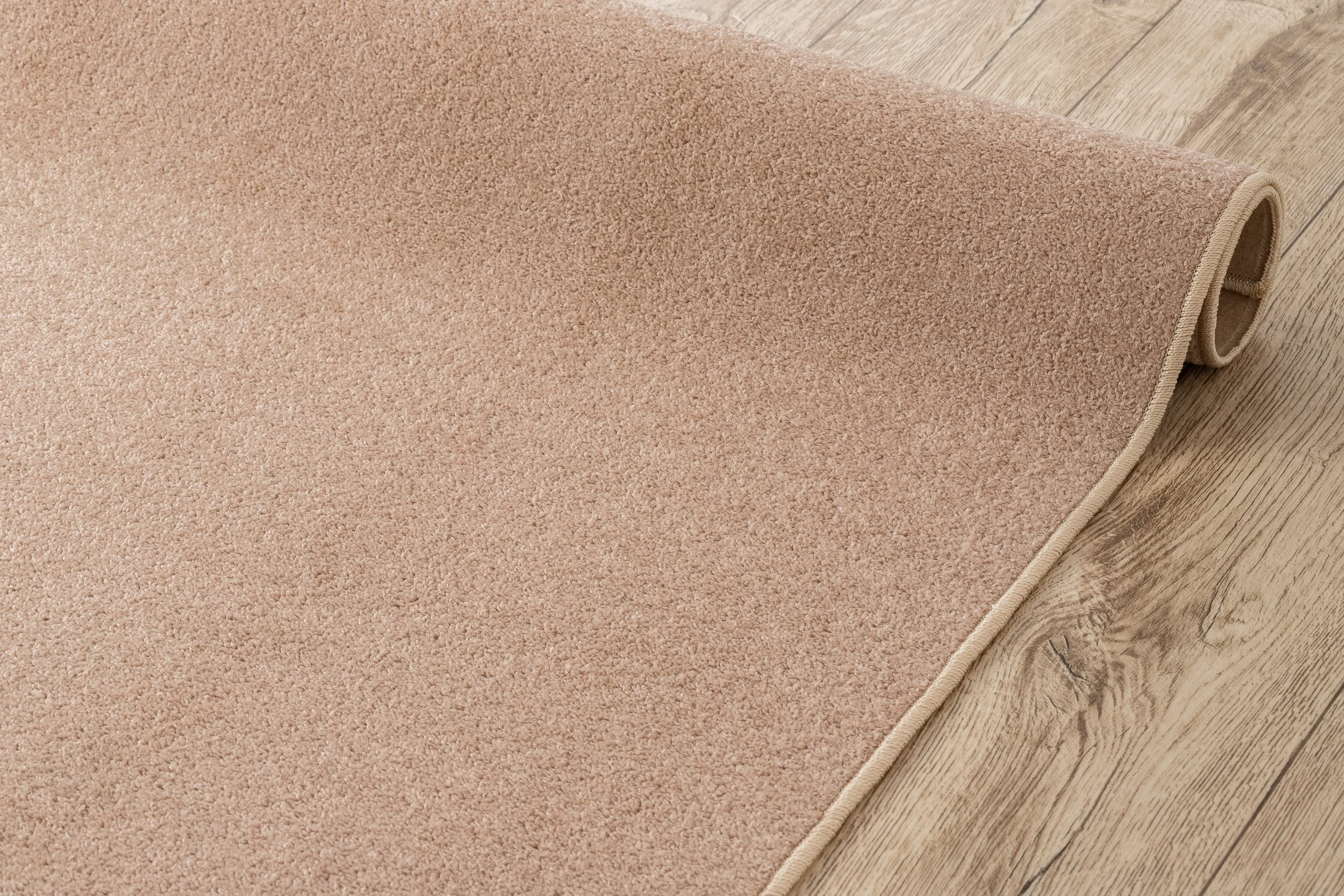 rugsx Alfombra de Pasillo Eton Beige 80x500 cm