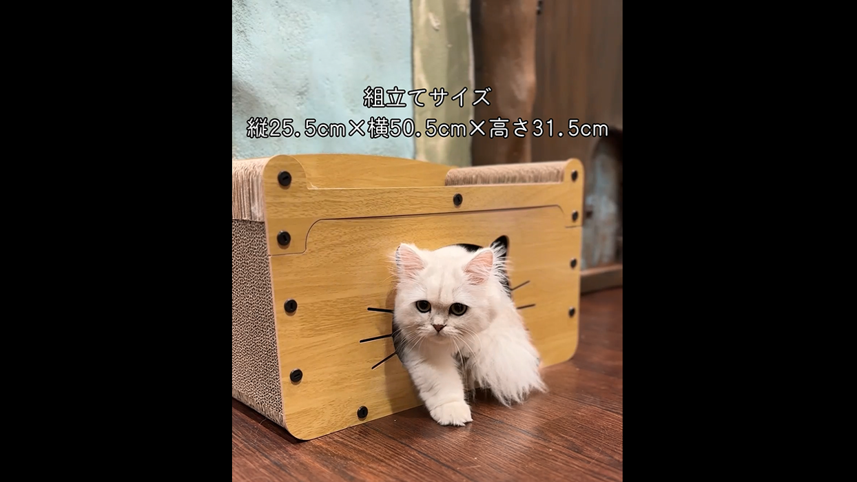 猫小屋藤編四季共通夏猫用品半閉鎖個性カタツムリ状ペット小屋解体可能別荘 Amazon.co.jp: ペティオ (Petio) 猫用おもちゃ くつろげる ねこまど