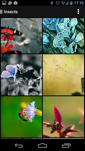 Cool Wallpapers Free – vue 9