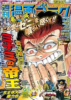 週刊漫画ゴラク増刊 Hacker ハッカー No.21 22 週刊漫画ゴラク増刊 Hacker ハッカー No.21 22