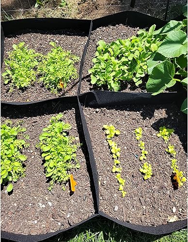Vista 21 de CJGQ Camas de jardín elevadas de tela para exteriores, 2 x 2 pies, 4 rejillas de cultivo de plantas, maceta elevada para cultivar papas y flores