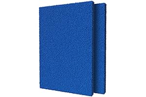 BIODEFENSOR 20x30 Air Filter: Breathe Clean and Healthy