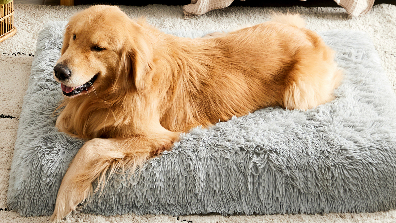 MIHIKK Orthopedic Dog Bed Luxurious Plush Washable Dog Beds with Removable Waterproof Cover Anti-Slip Egg Foam Pet… - Image 8