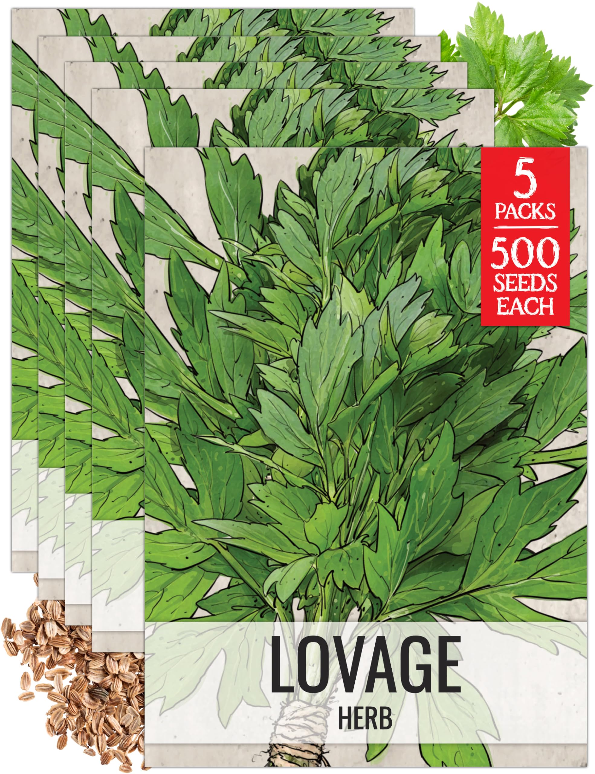 Seed Needs Lovage