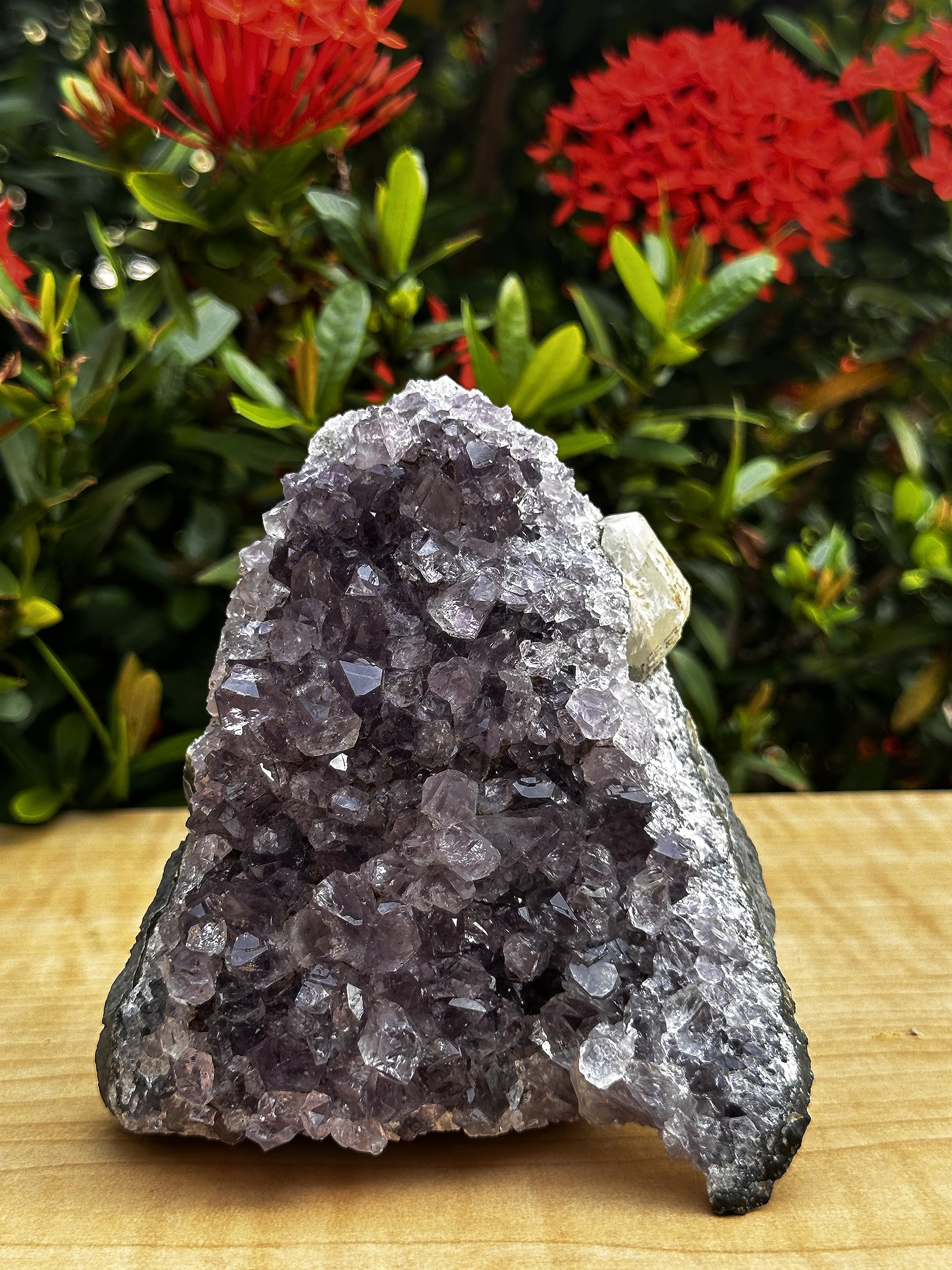 Amazon.com: GAF TREASURES 紫水晶簇,紫水晶大地石,原始紫水晶,紫水晶