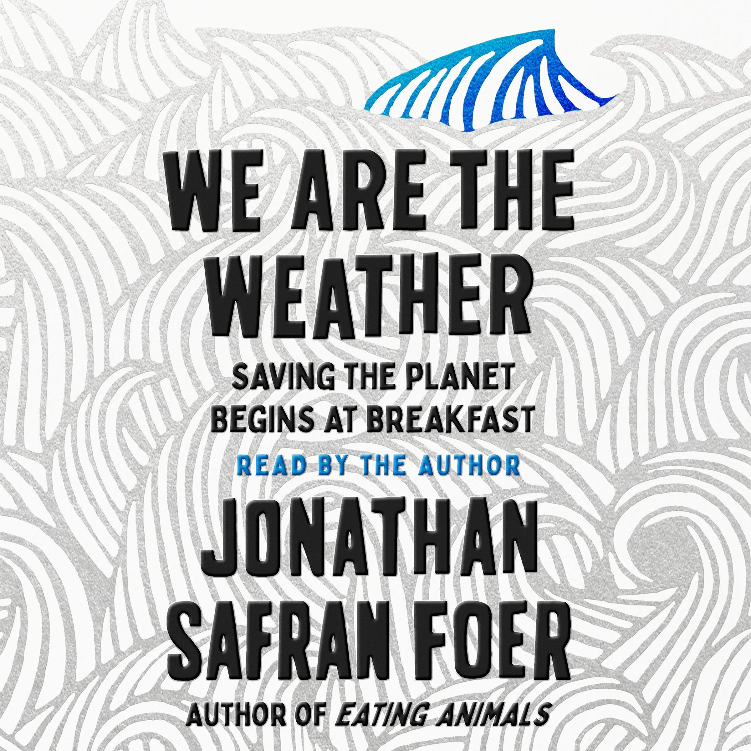Cover art for We Are the Weather