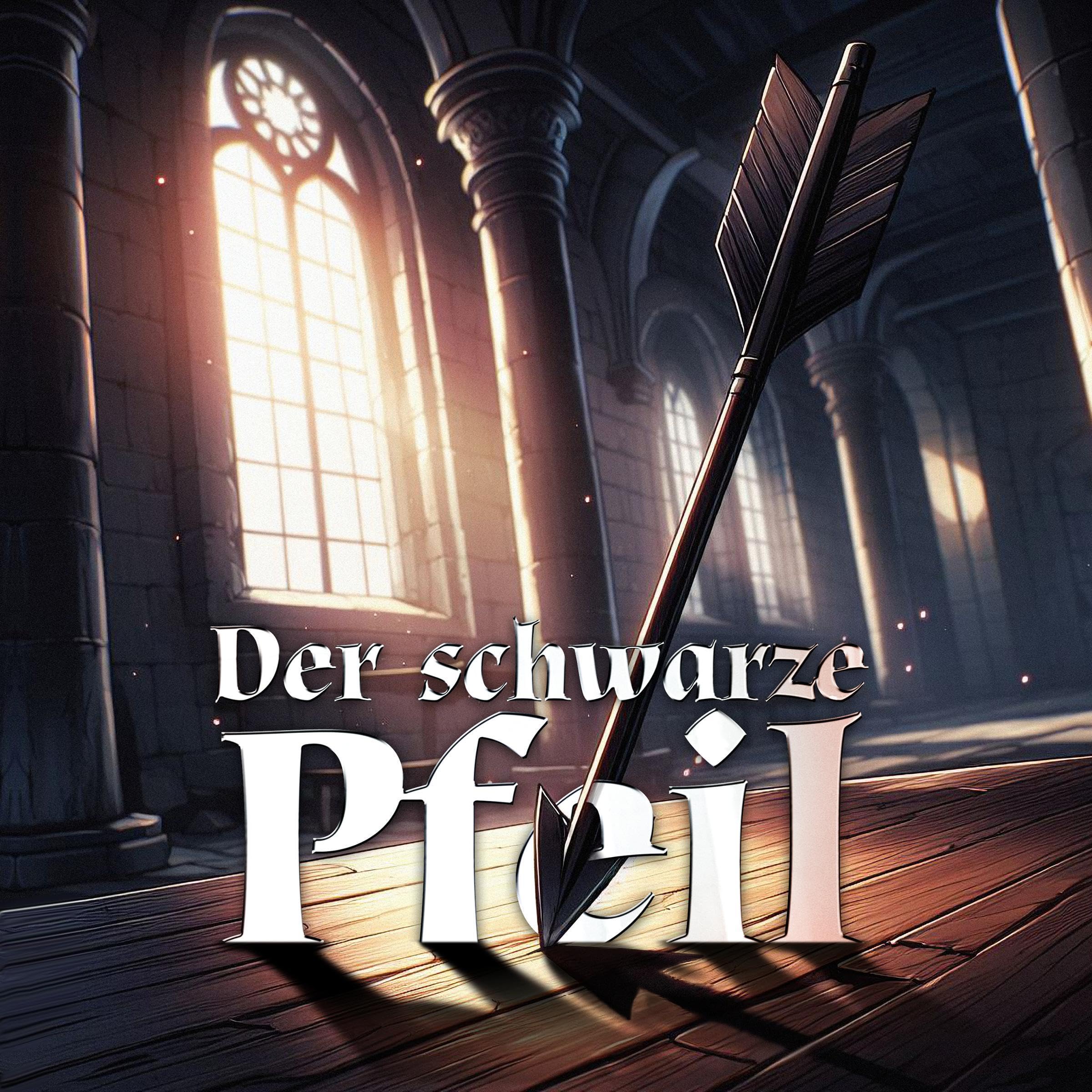 Cover art for Der schwarze Pfeil