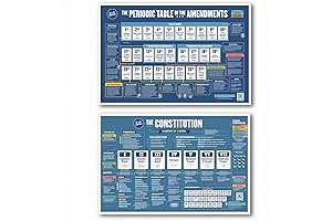 Constitution and Amendments | 2 Poster Set | Amendment Guide for Home & School