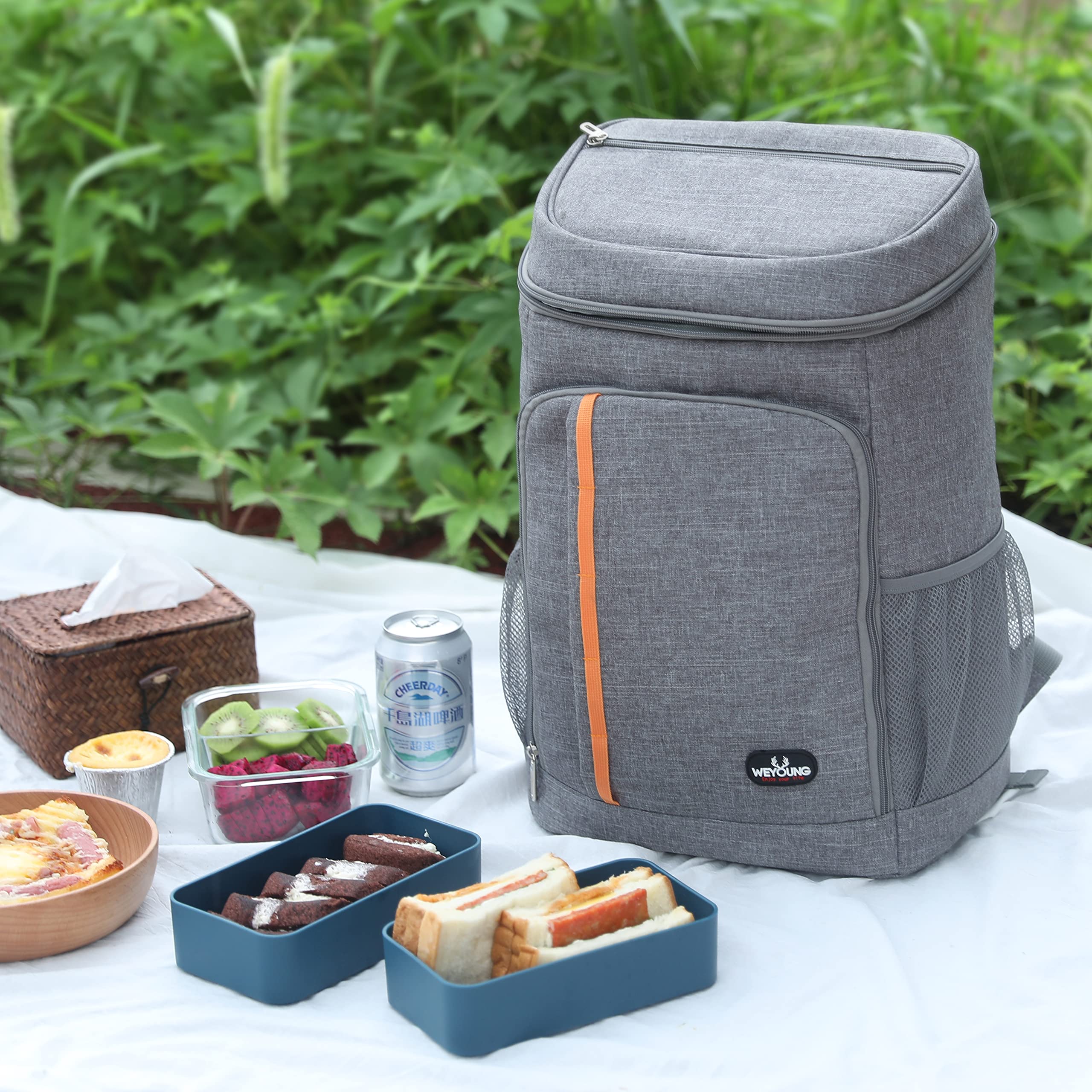 28L Kühl Rucksack Kühlrucksack Kühltasche Picknicktasche Groß Isoliert Cooler Bag Männer Frauen für Strand/Picknick/Camping/Grill/BBQ/Wandern (Grau)