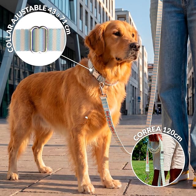 Foto 3 de 7 de Fisura - Conjunto de Collar y Correa para Perros pequeños y medianos con Mensaje “out of The Office”. Juego…