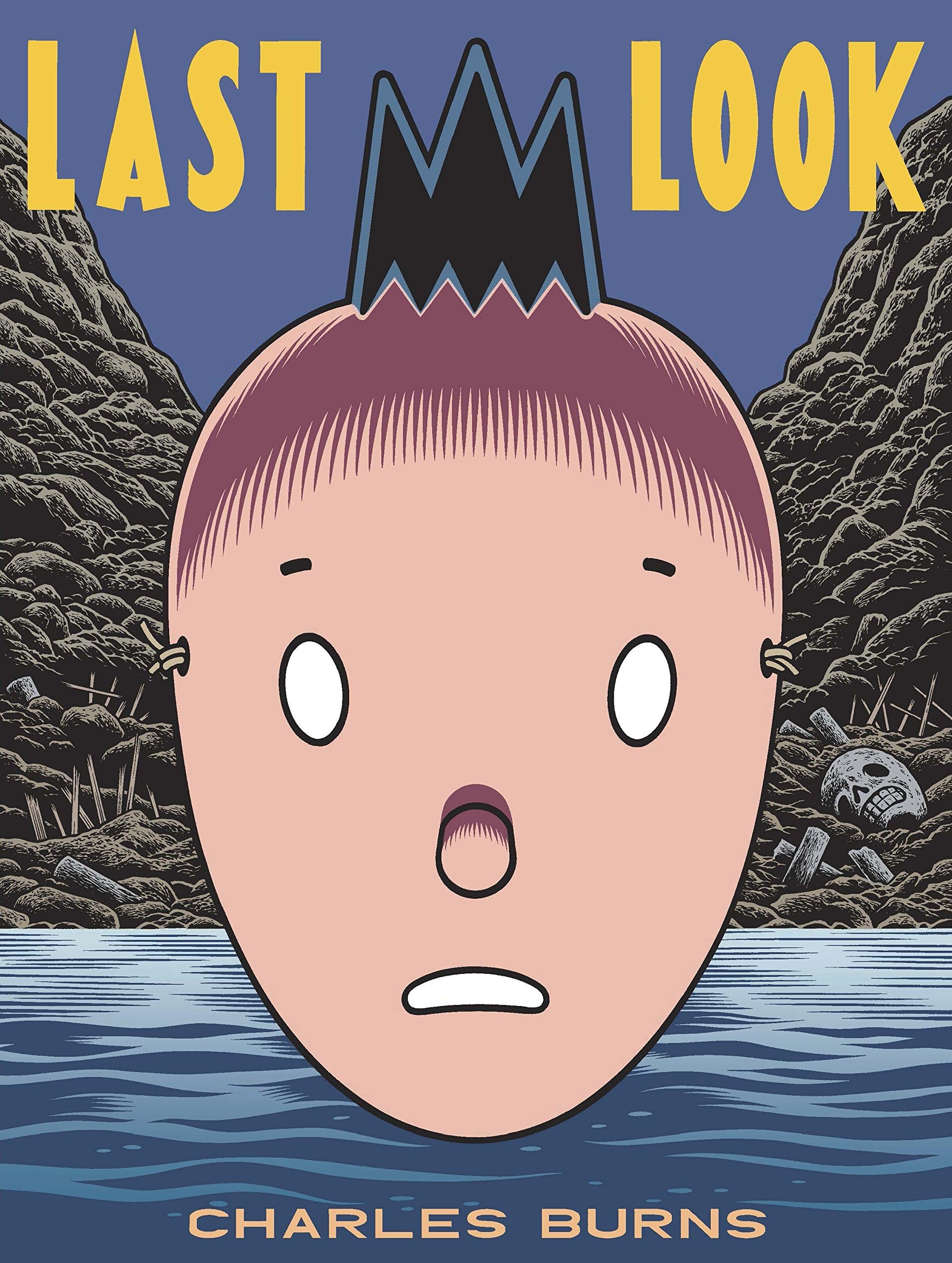 Last Look Paperback – 6 Oct. 2016