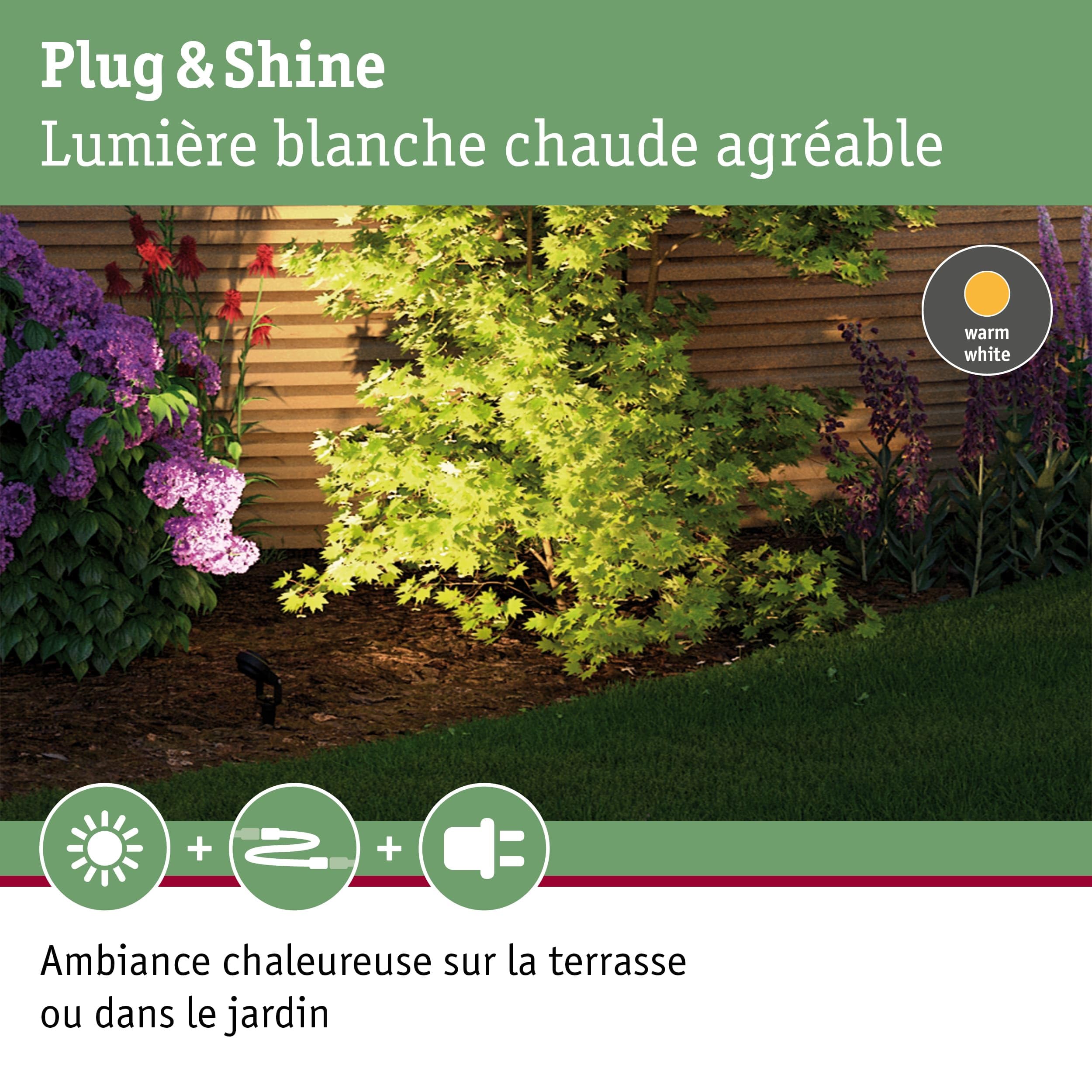 Paulmann 93689 LED Plug & Shine Luminaire d'extérieur Sting incl. 3x6 watts gradable Piquet à planter Anthracite Luminaire de jardin Alu Extérieur 3000 K