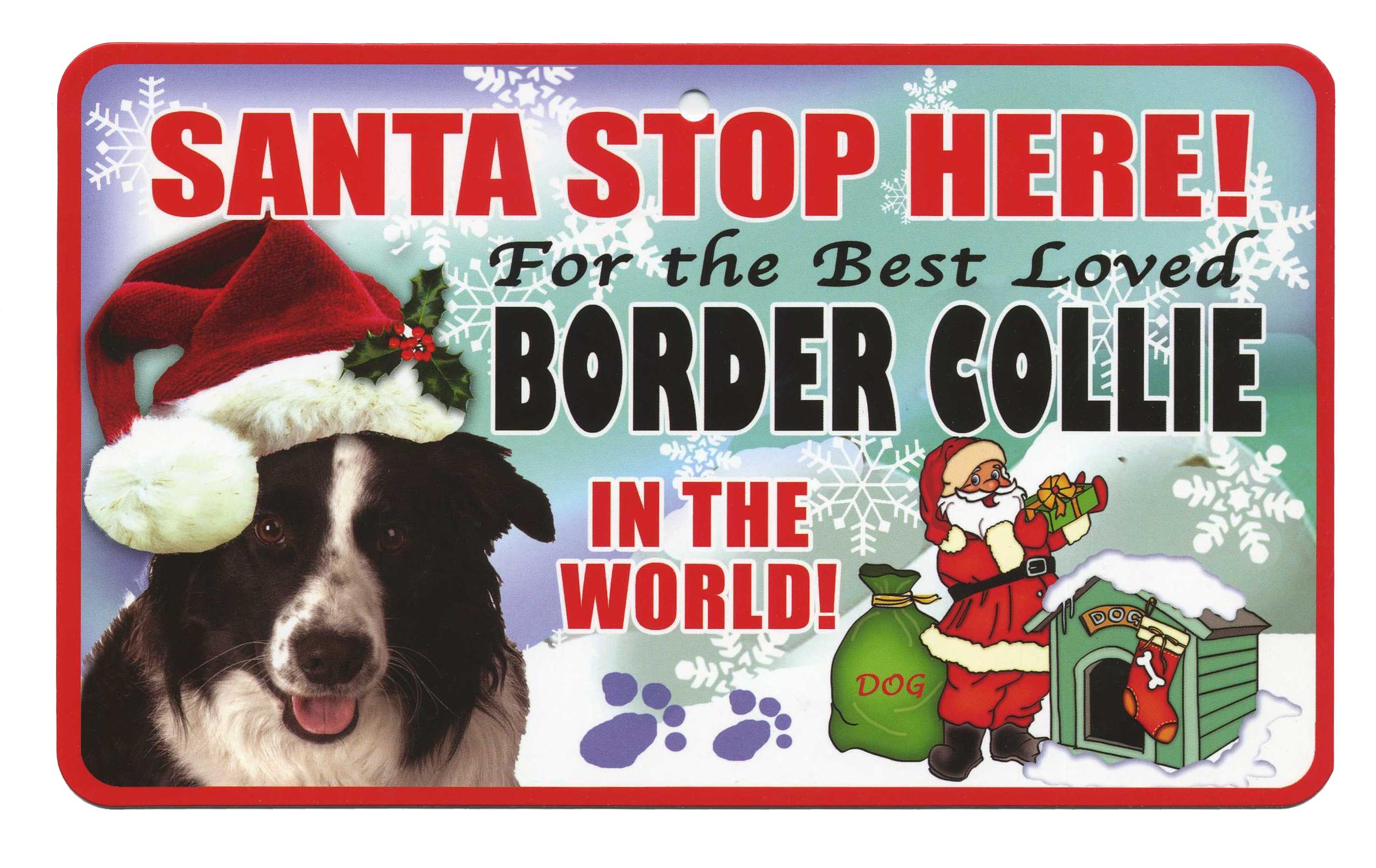 Instant Gifts Pet Santa Signs Border Collie Santa Stop Here For The Best Loved Dog In The World - Christmas Sign (Border Collie)