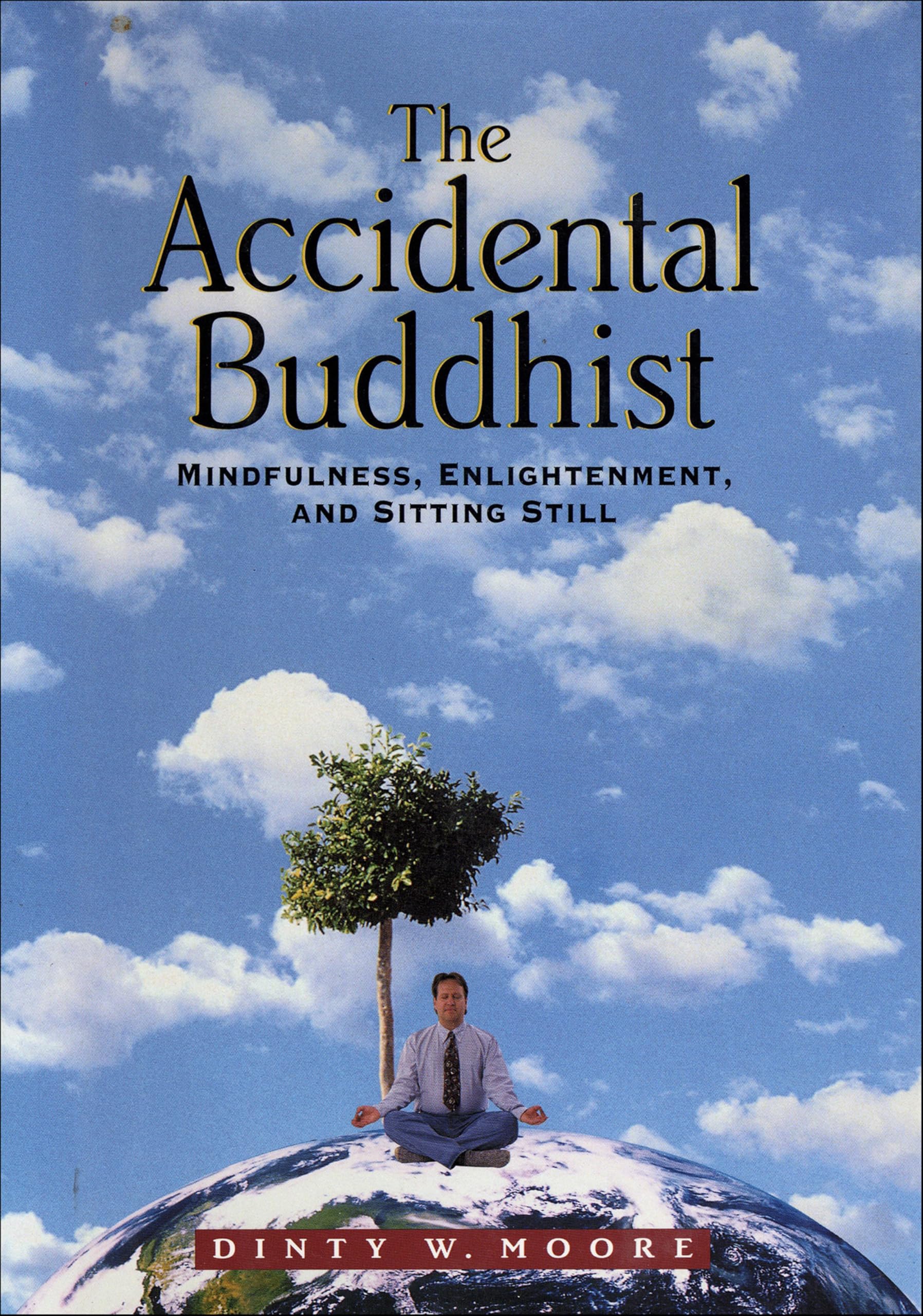 The Accidental Buddhist: Mindfulness, Enlightenment, and Sitting Still