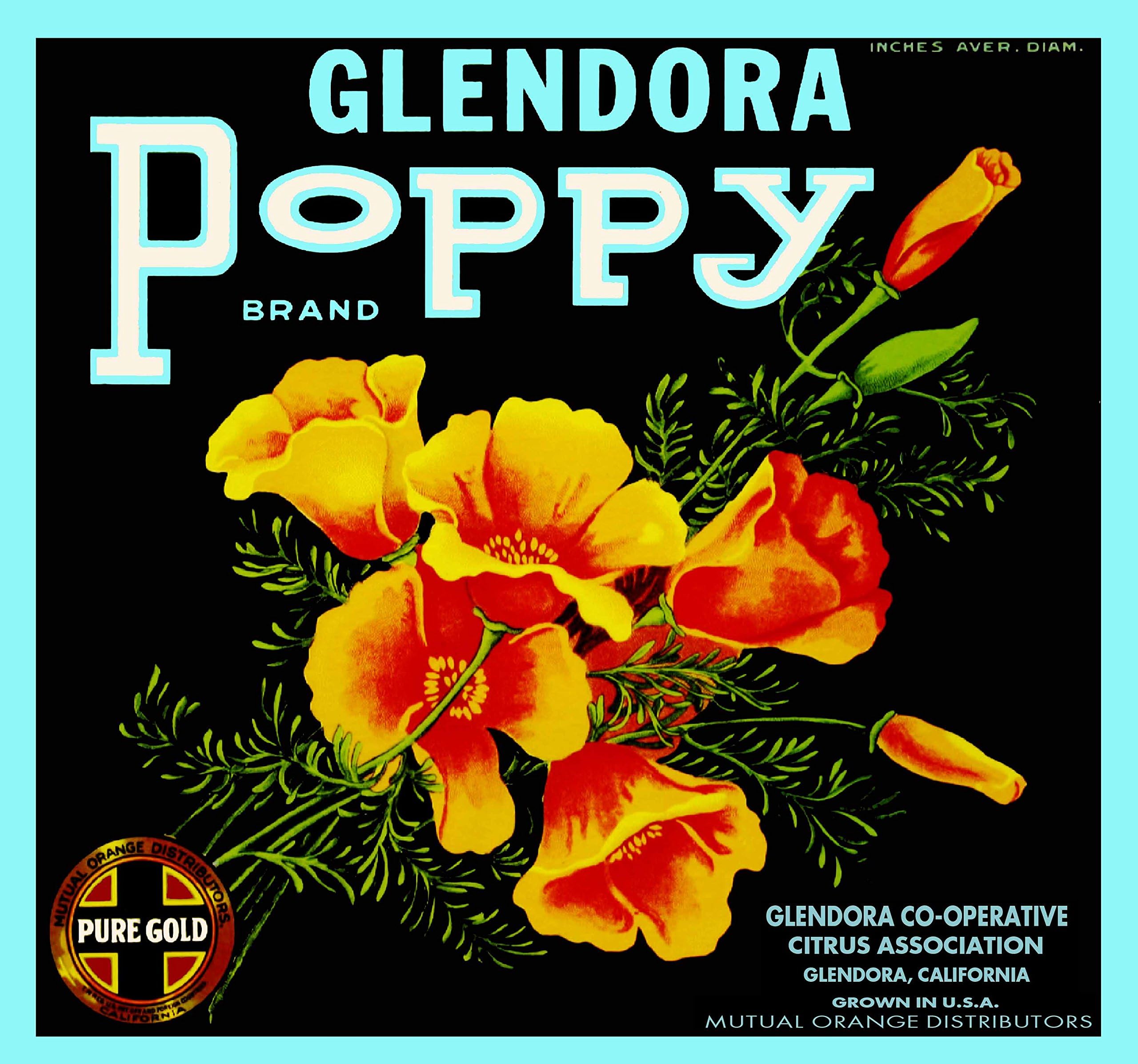 Pomona Morning Glory Orange Crate Label Art Print - Vintage Citrus