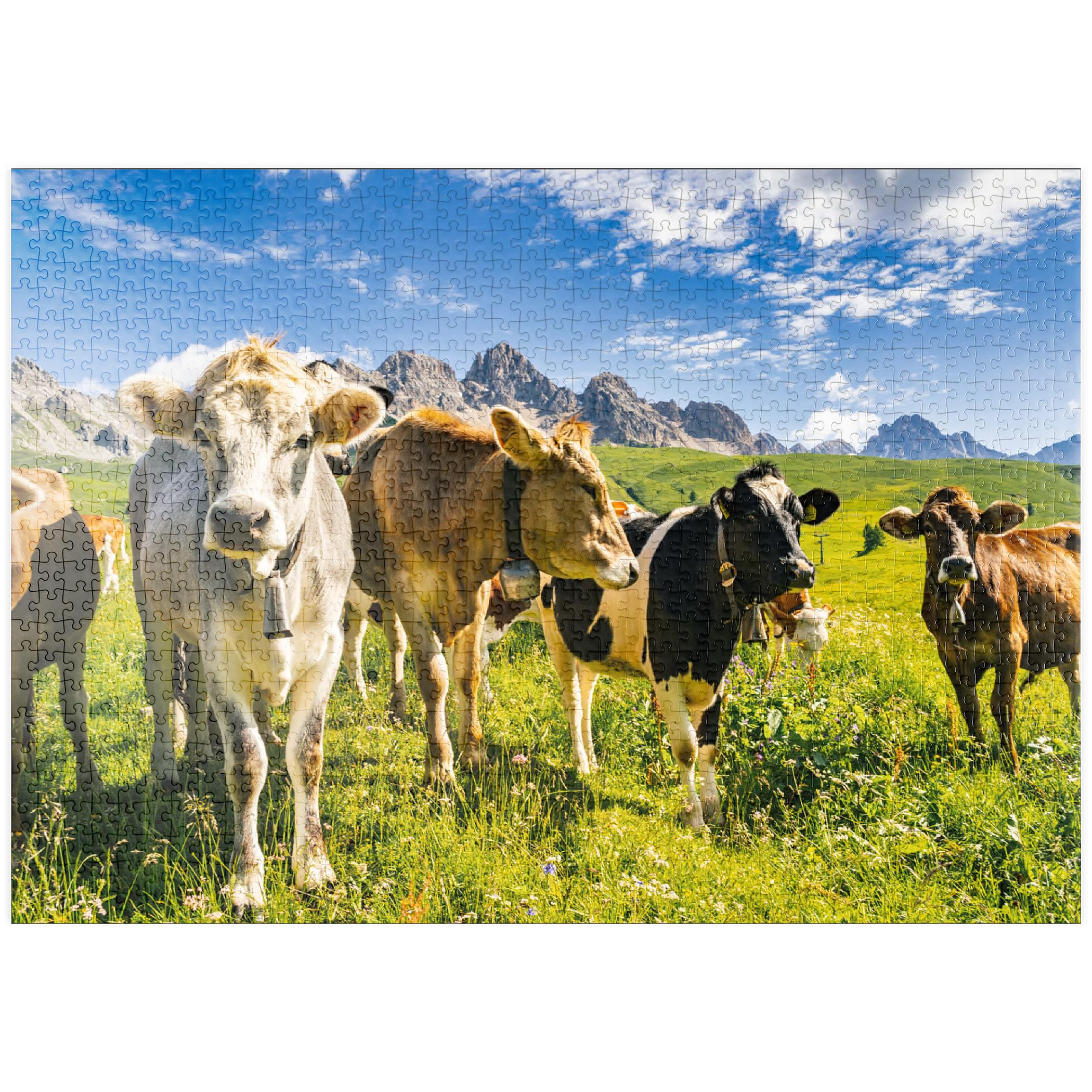 Cows In Front Of An Idyllic Alpine Landscape - Premium 1000 pieces Puzzle - MyPuzzle special collection from Puzzle Galaxy